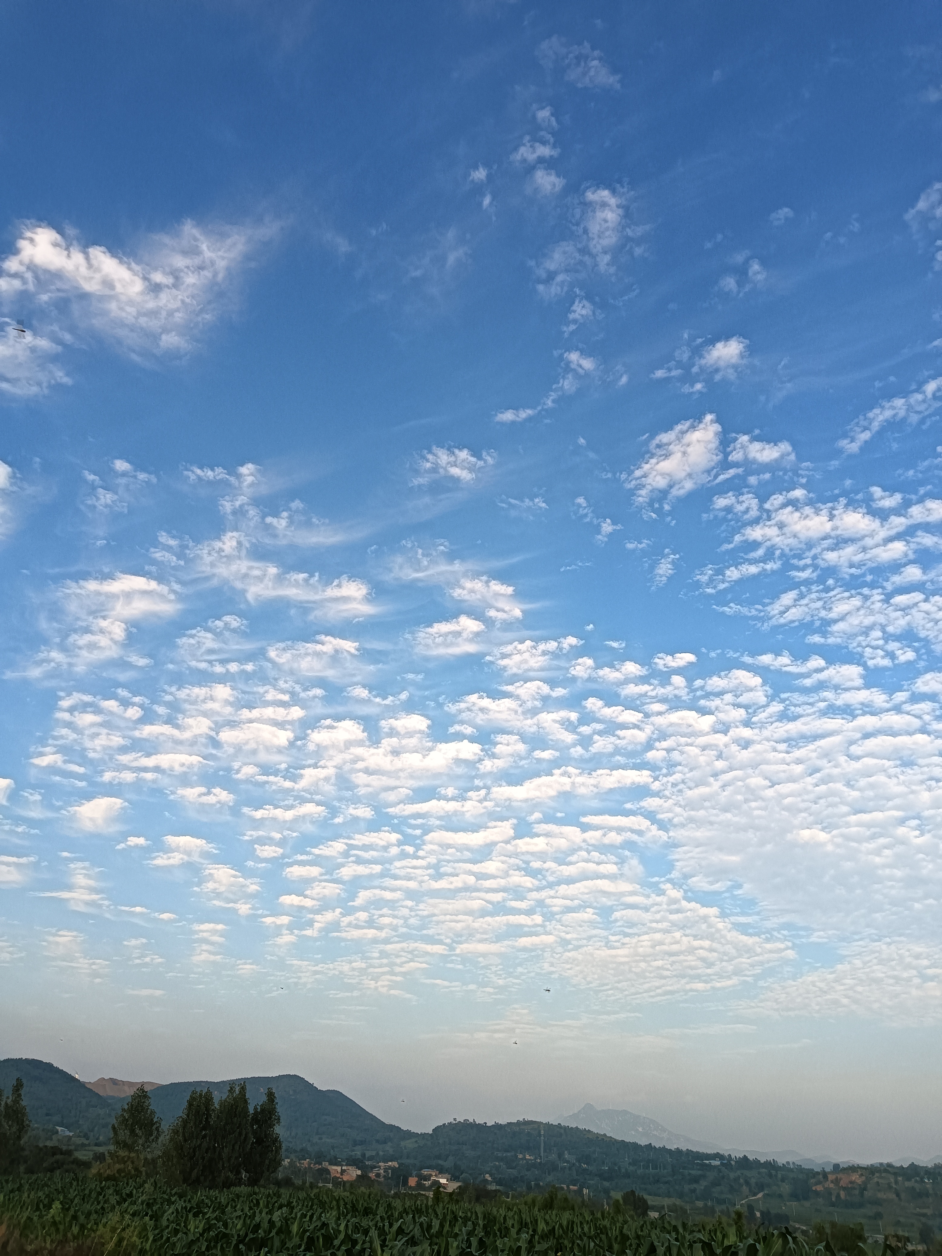蔚蓝色的天空,雨过天晴了