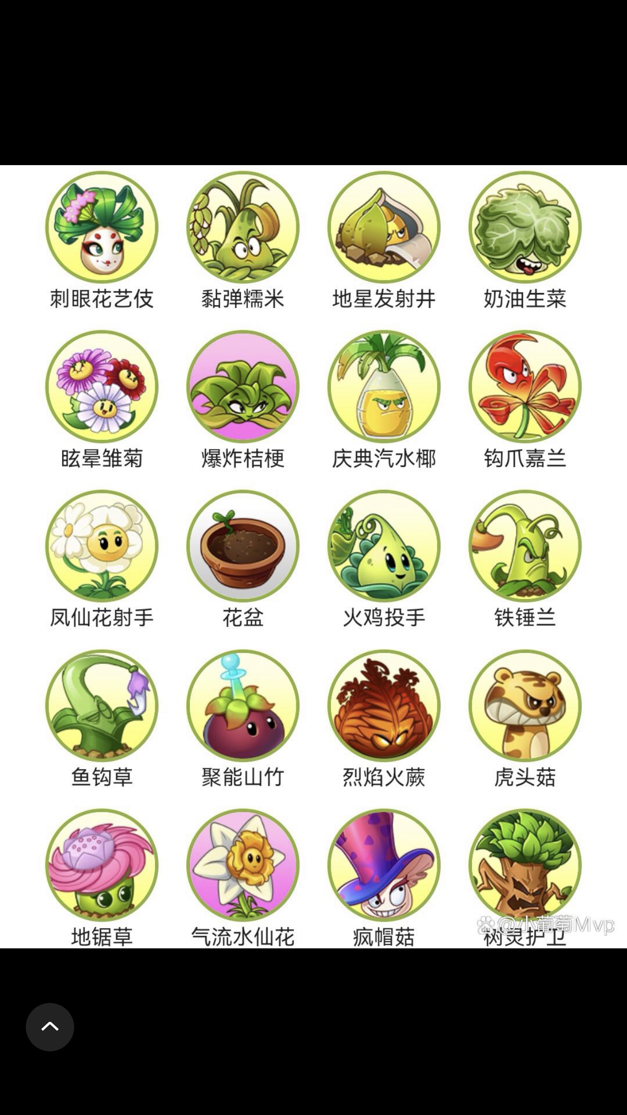 pvz所有植物