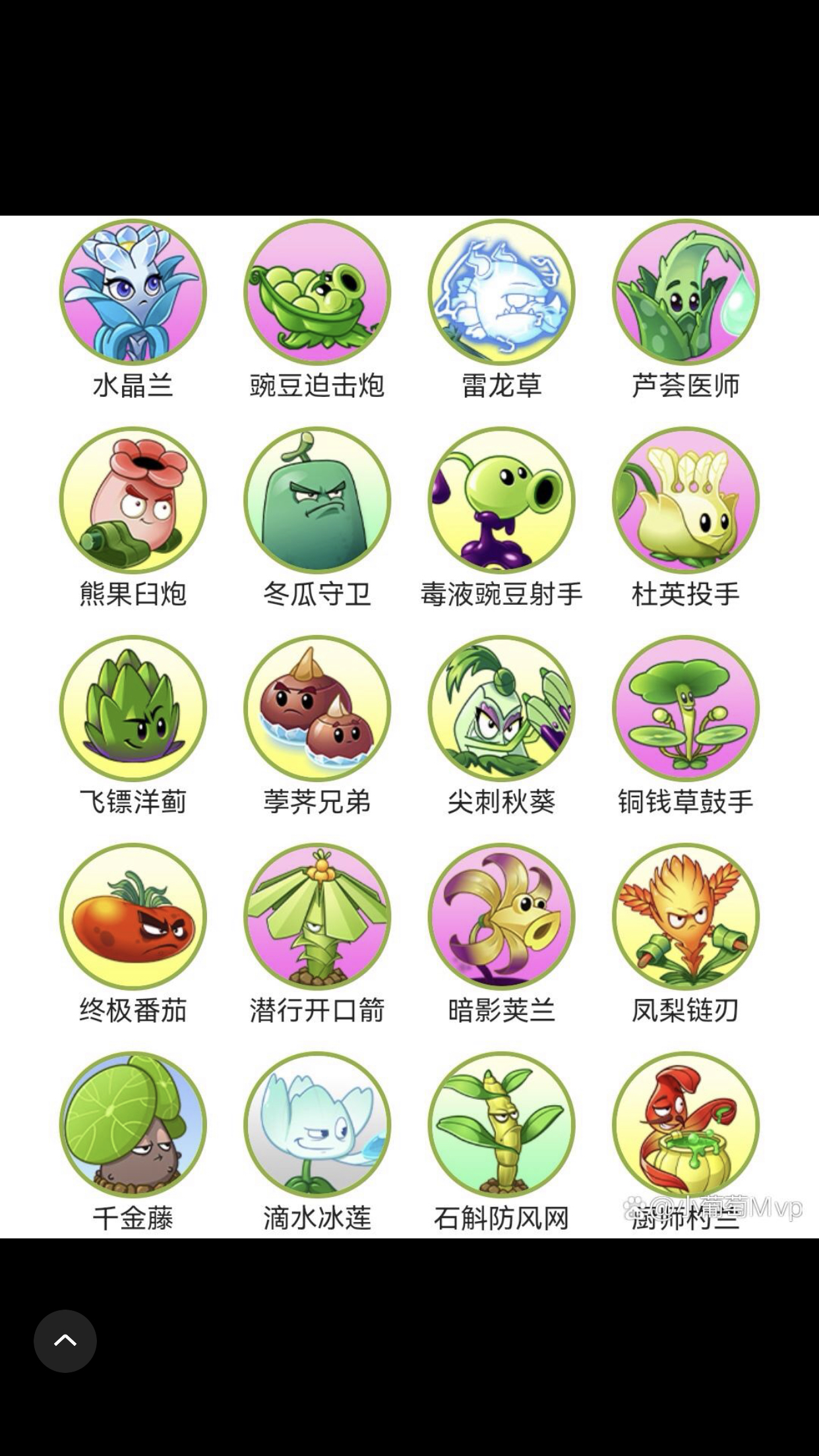 pvz3植物图鉴图片