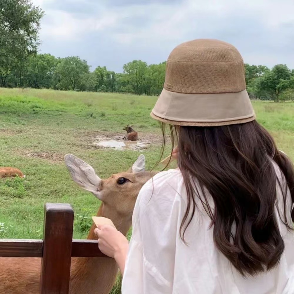 君子有所为有所不为,舍得舍得,往往有所舍有所失