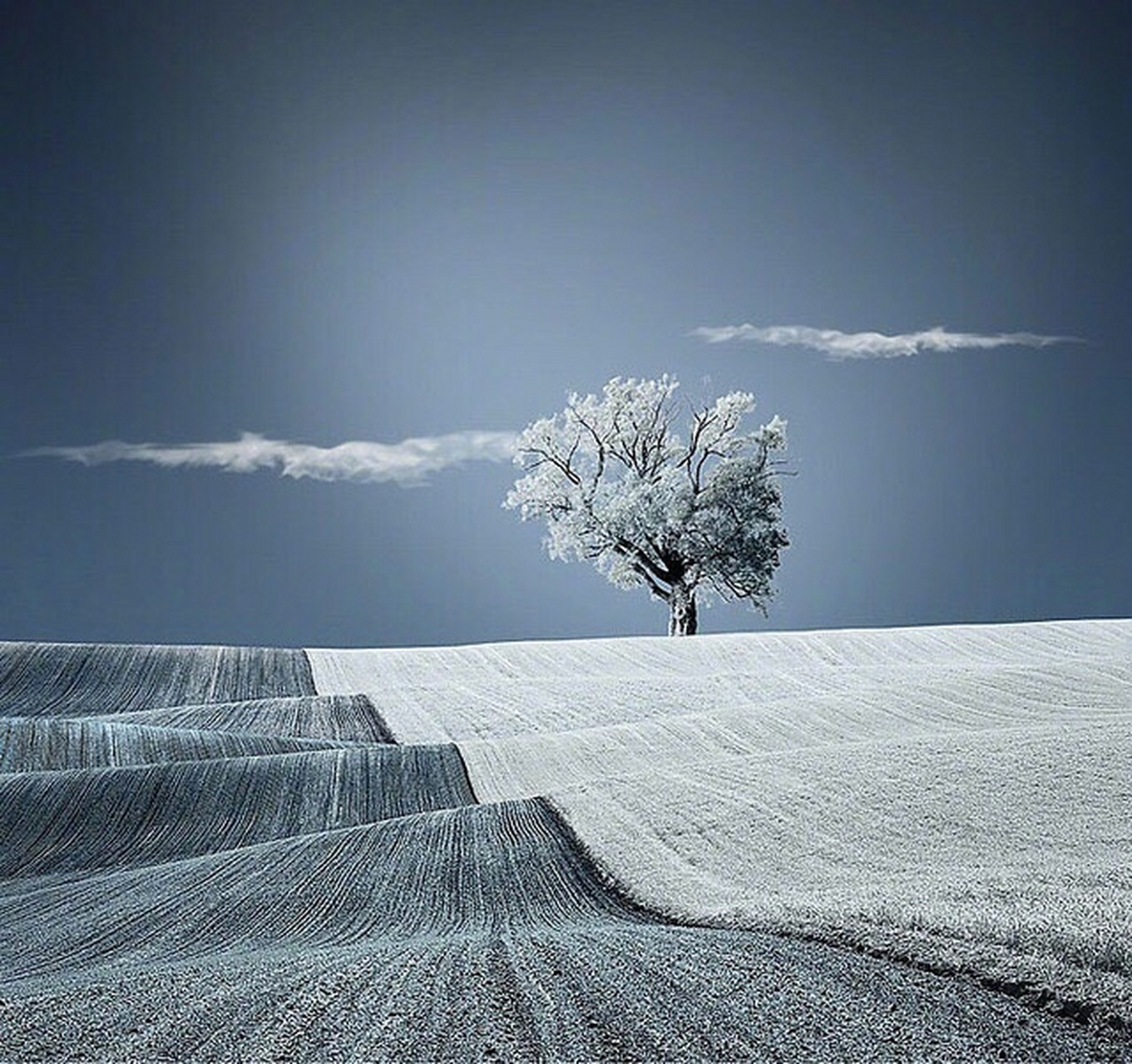 对于成功的坚信不疑时常会导致真正的成功.