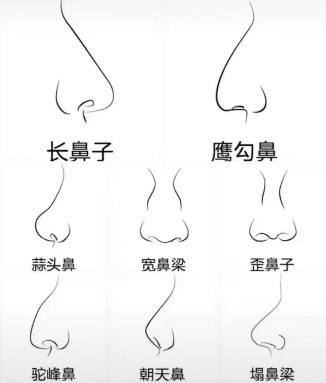 你们是啥鼻
