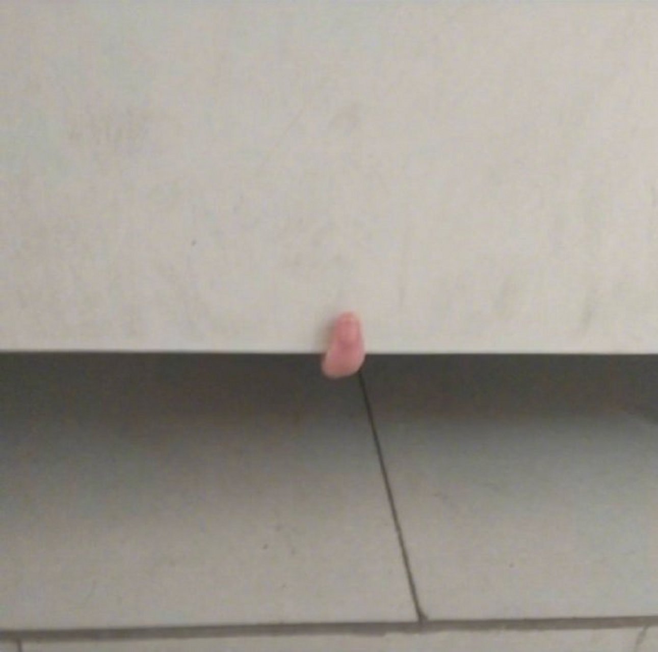 我和我最后的倔强