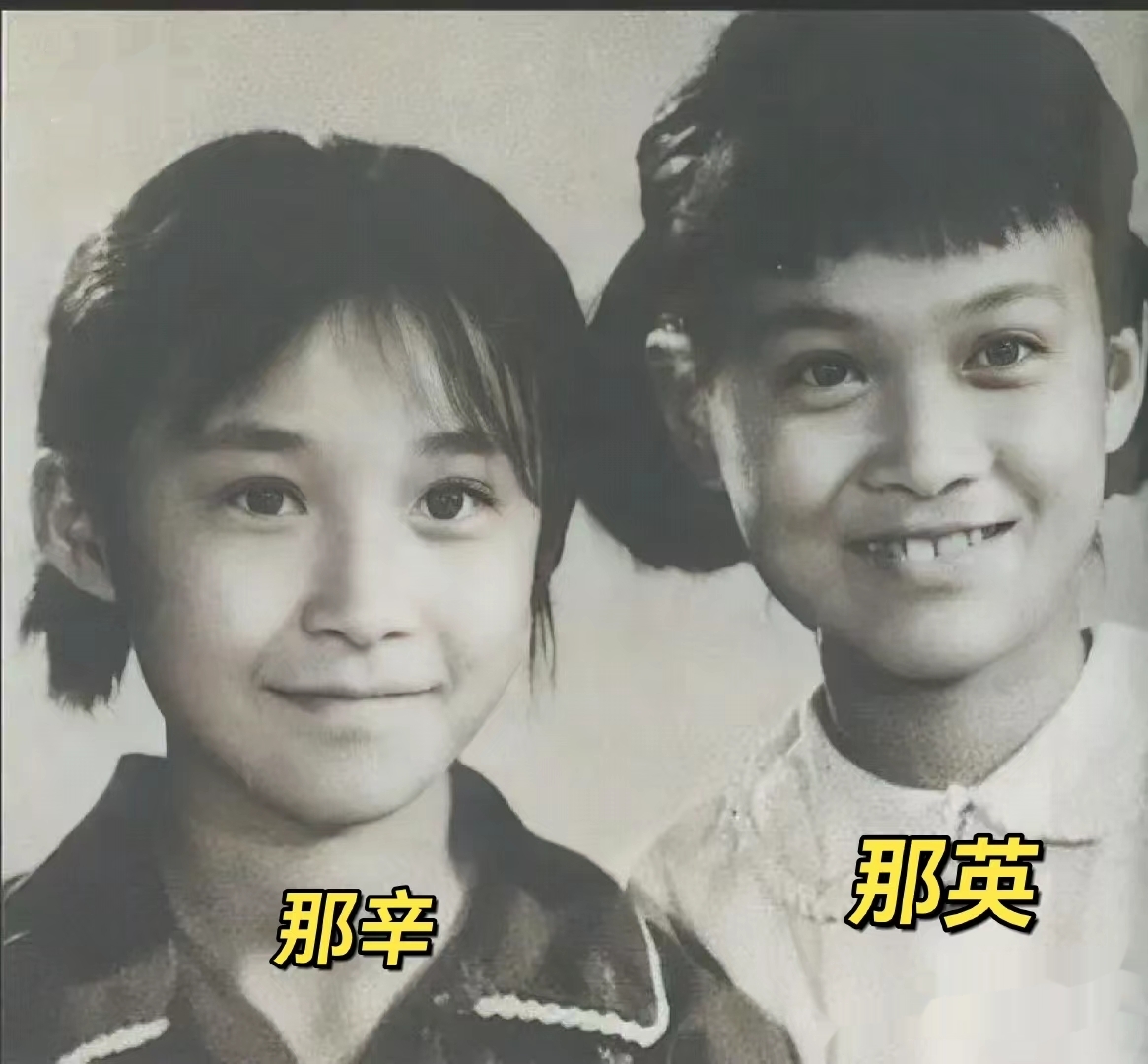这是1972年的夏天,5岁的那英和7岁的姐姐那辛,一张罕见的留影,阳光照