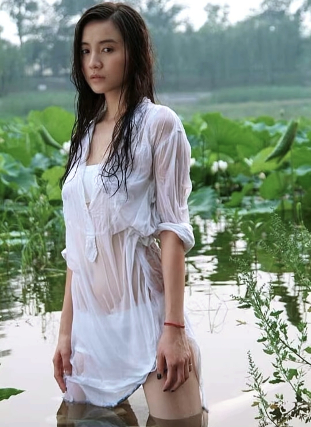 实力演员宋佳:演艺路上的璀璨之星