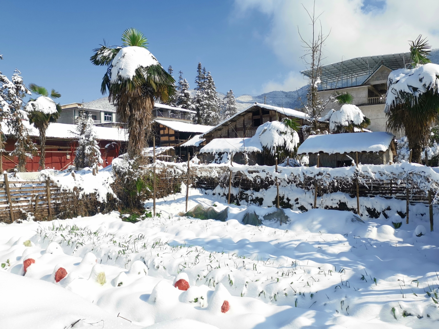 江西雪景最美的地方图片