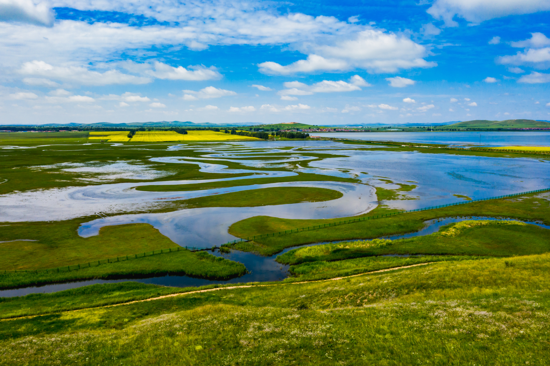 中国醉美的初夏】坝上草原位于内蒙古高原与大兴安岭南麓的接壤地带