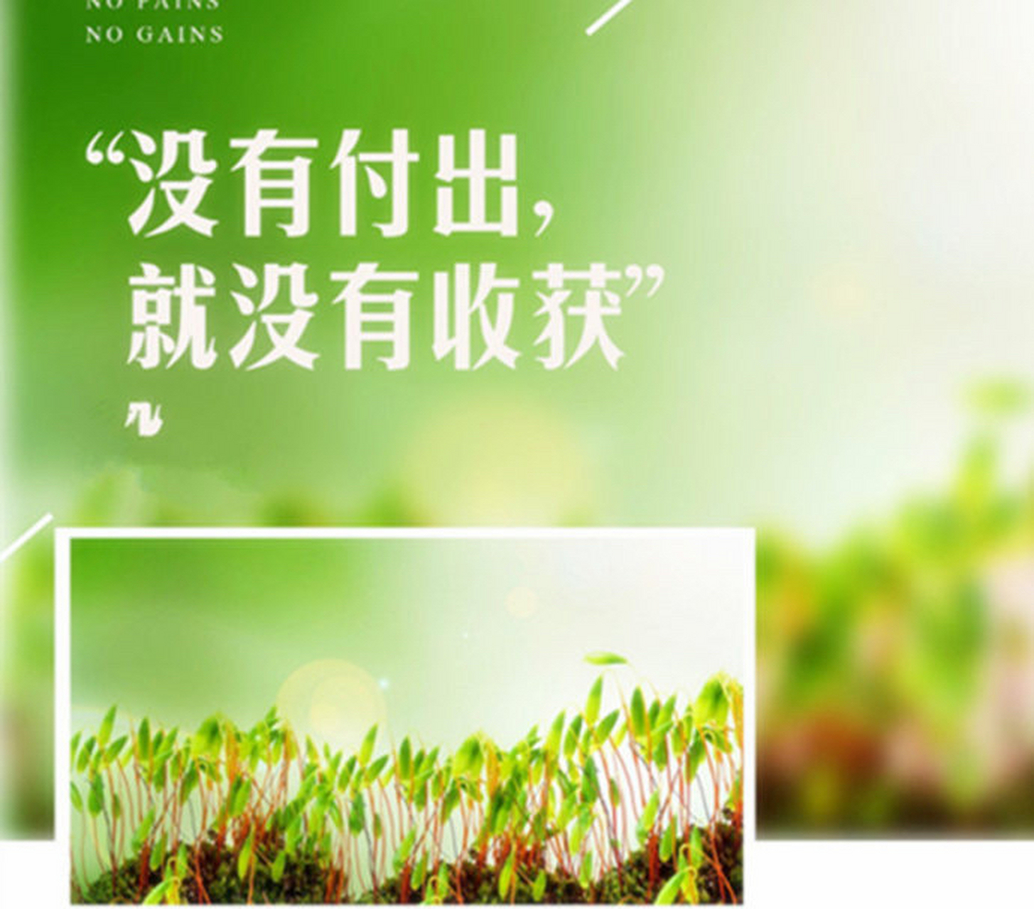 付出与收获 付出与收获的关系很简单,付出与收获不成正比,但是没有