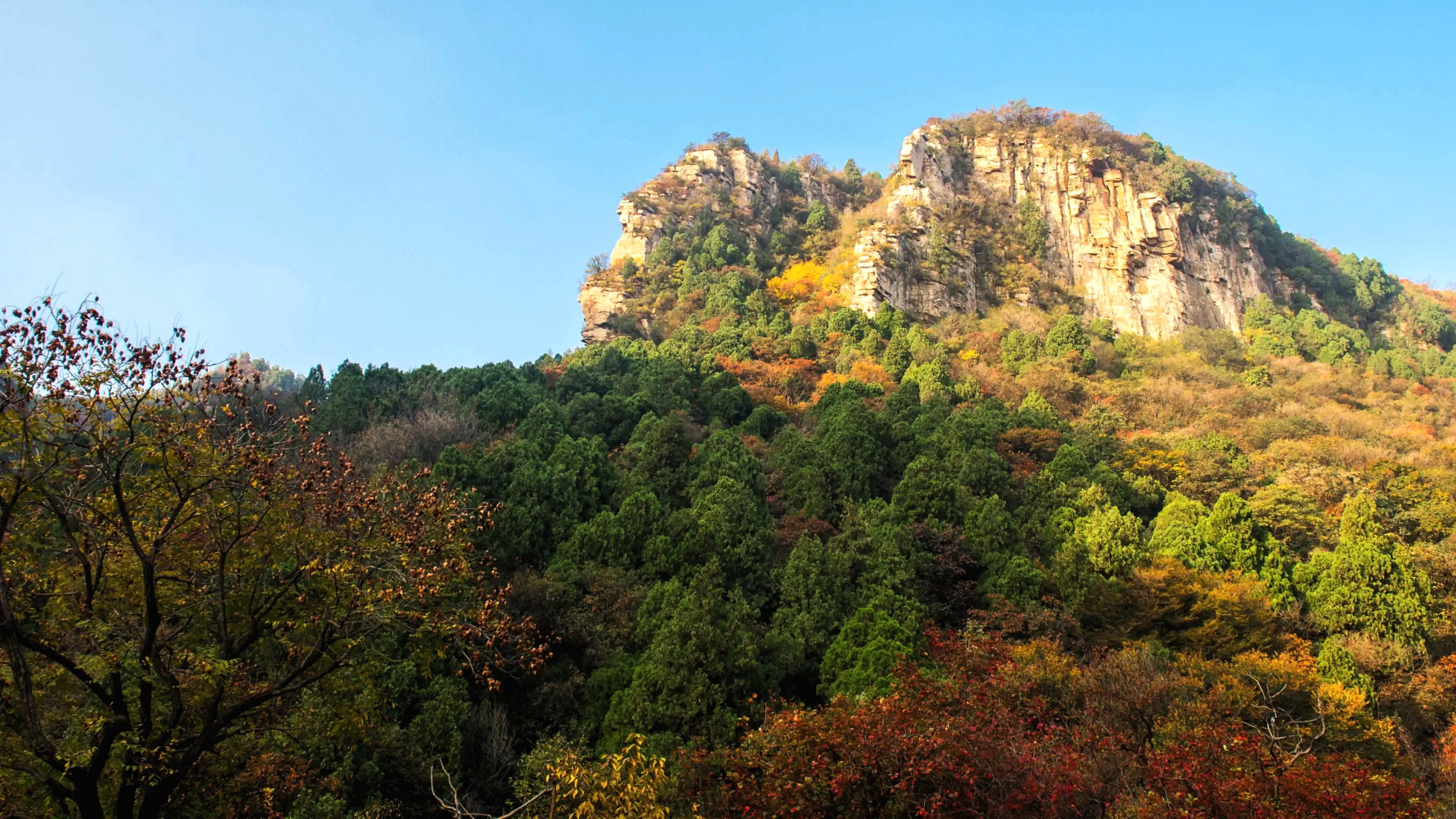 【题诗作画】戴清民将军 | 百山绘(七十七)龙洞山 #红星在线# #百将