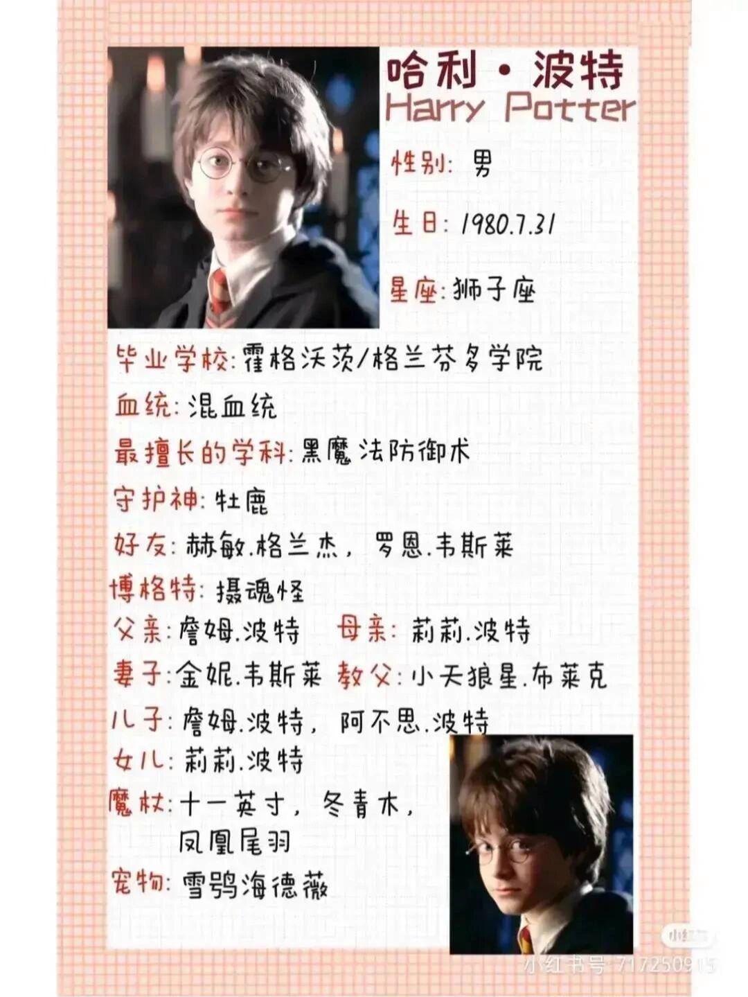 哈利波特人物简介