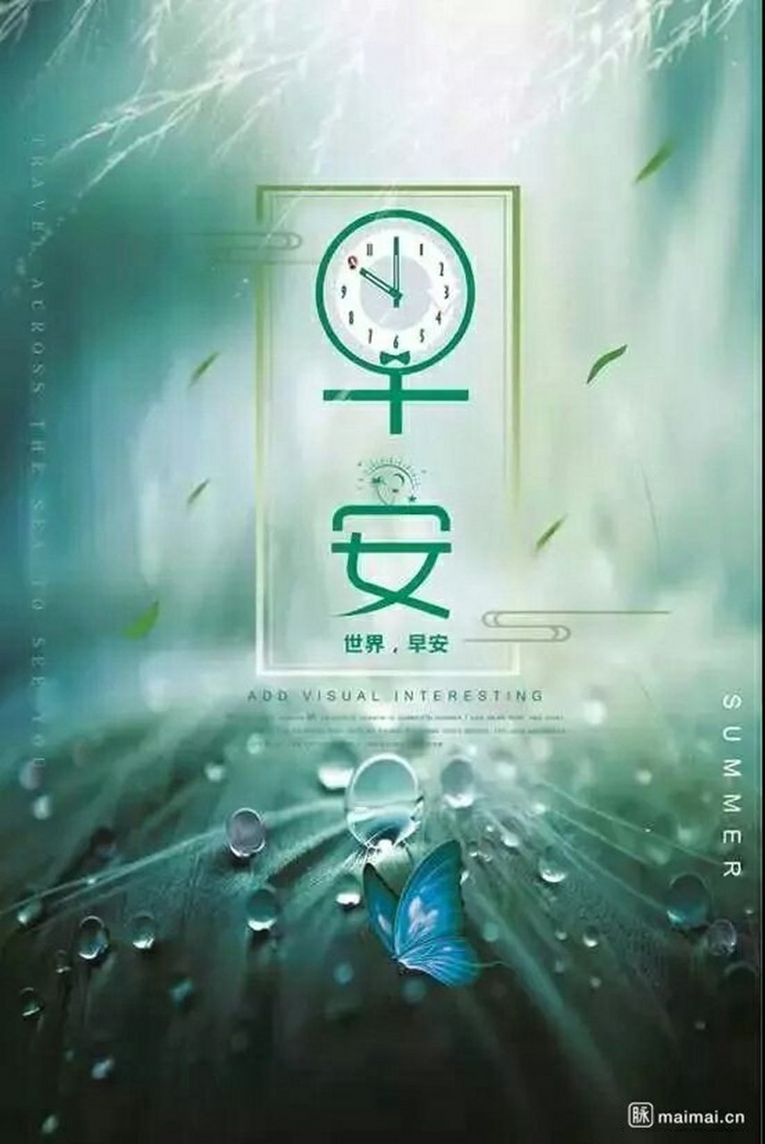 身体不是供人把玩的宝石,其美丑与否,不在于外在的样子或价值的高低