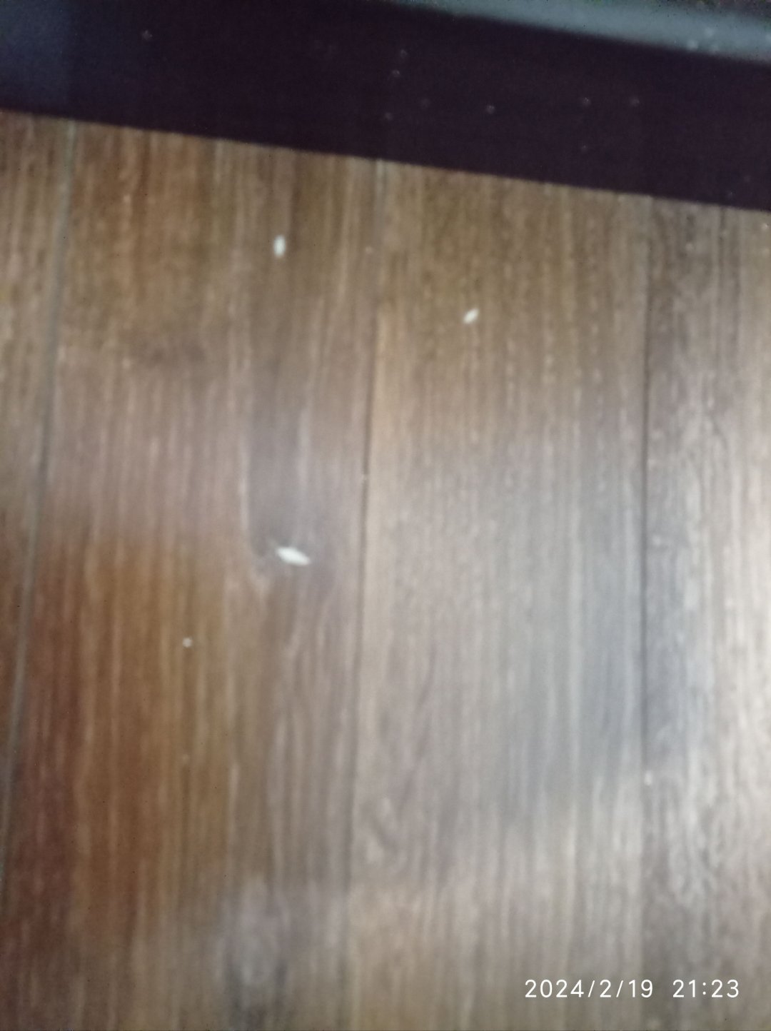 这是我的亲身经历,早上起来既然看到衣柜后面,靠床头