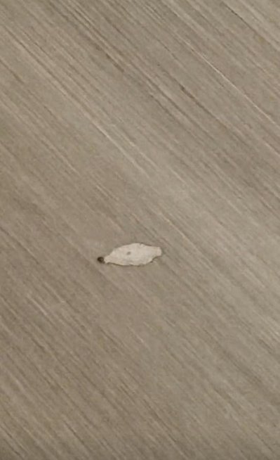 发现我的床上有很多那种衣蛾的幼虫,太恶心了,还会爬