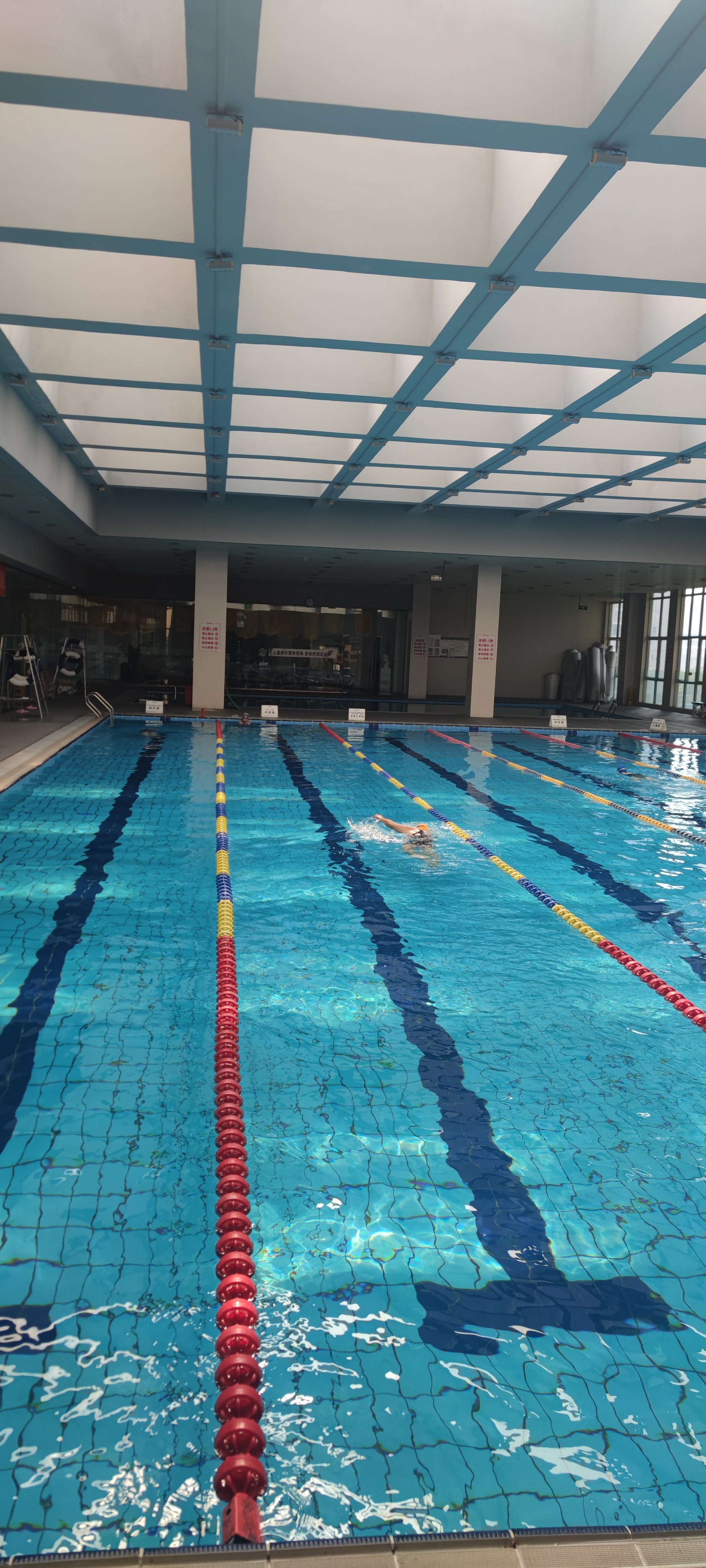 但身材曲线会越来越好, 心肺功能增强, 身体素质变 游泳馆游泳馆推