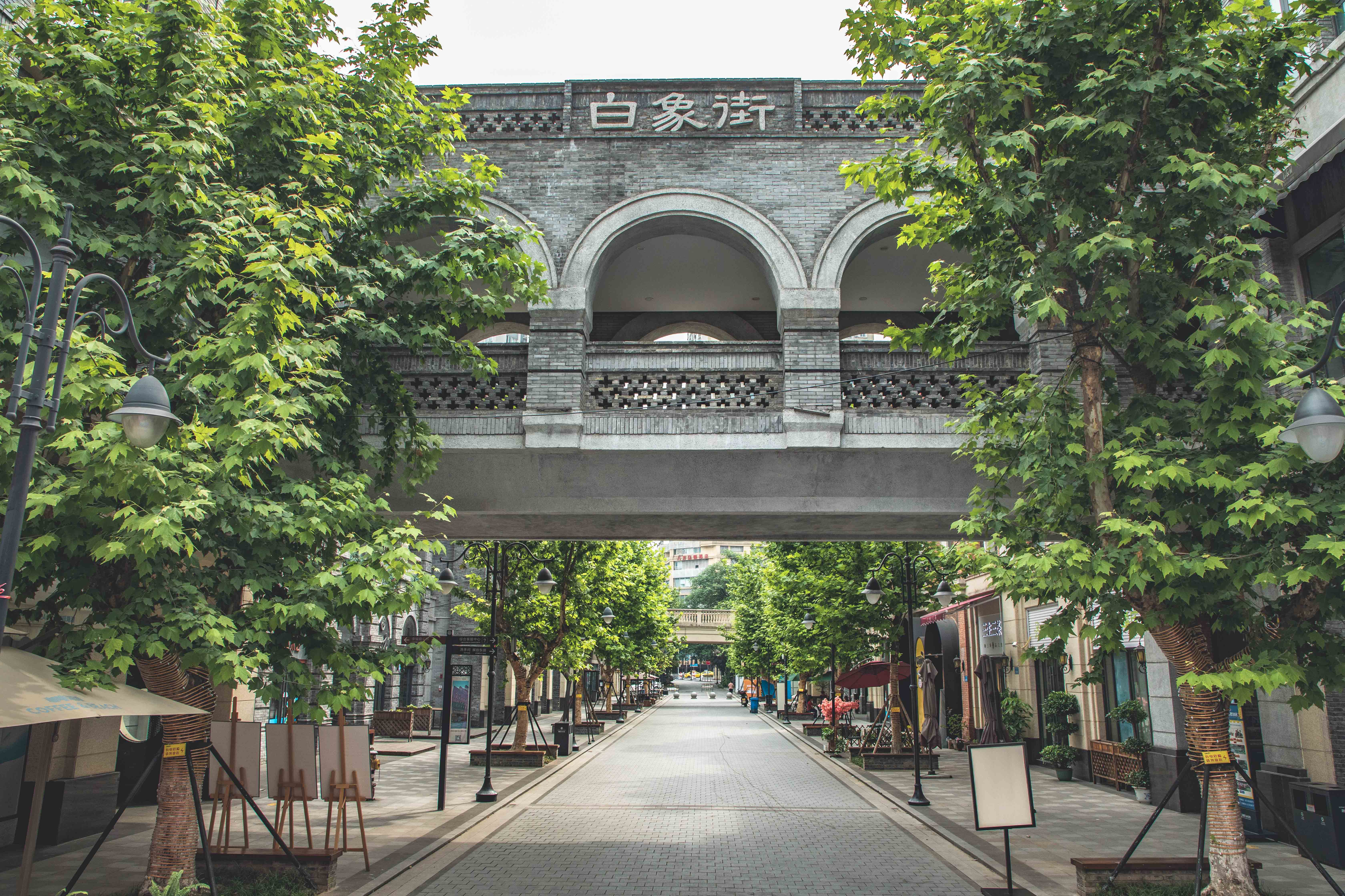 周天一日游重庆 重庆.@一头大树melody的动态