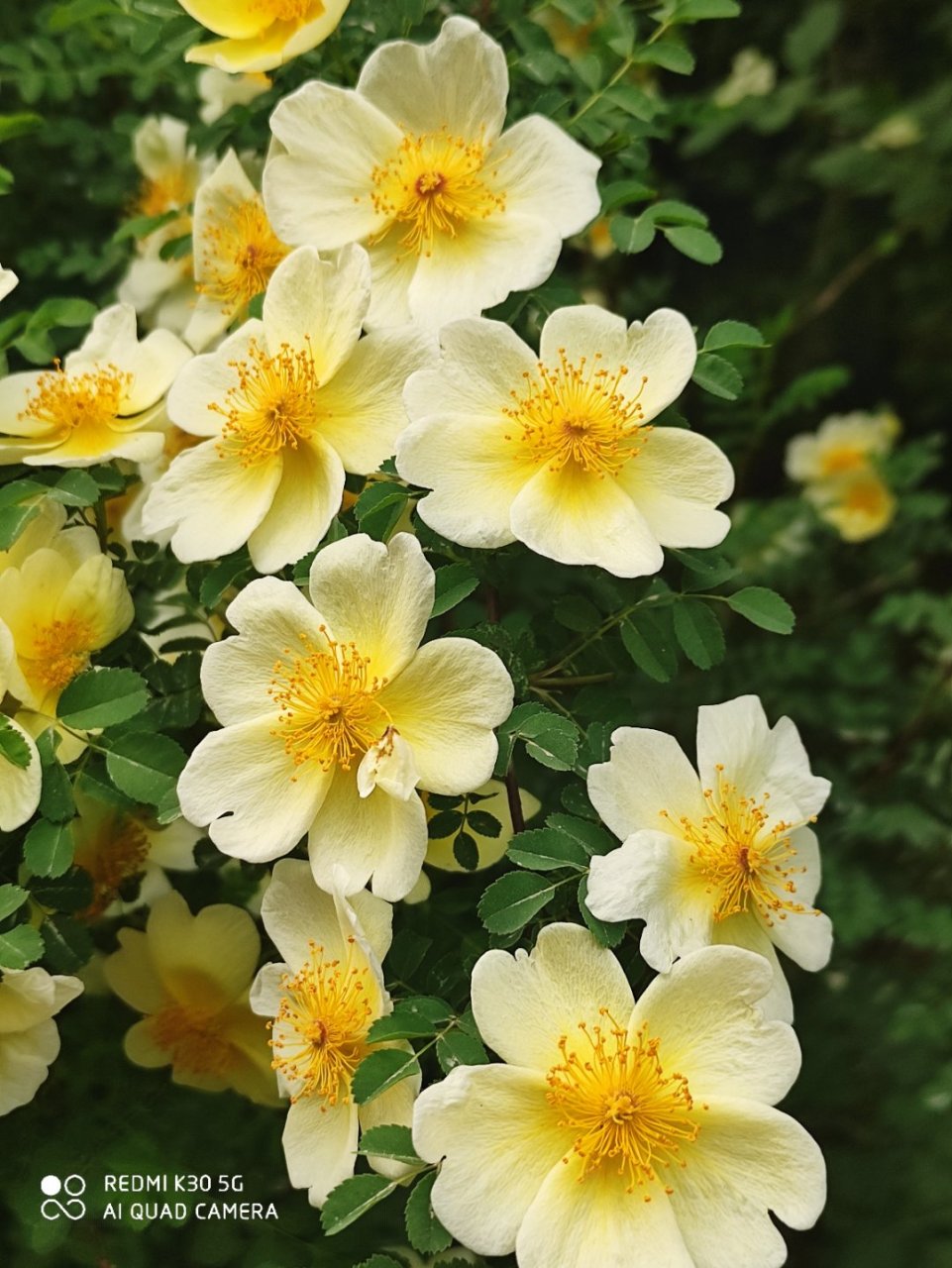 5月17日,18日,浙江根旺律师事务所李春雷律师(受亲人委托代理王相军