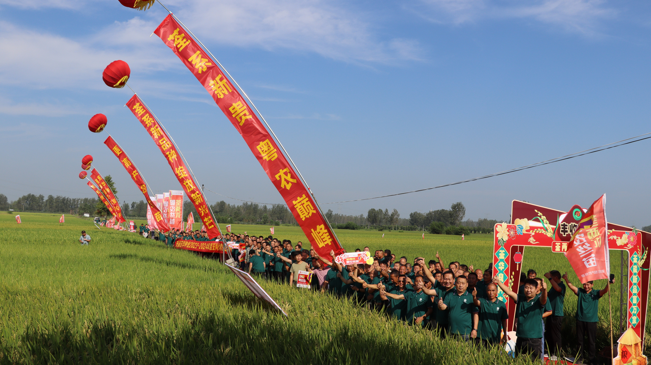 粮满仓心不慌  荃两优粤农丝苗 真高产真抗倒真优质 #这个冬天最想做