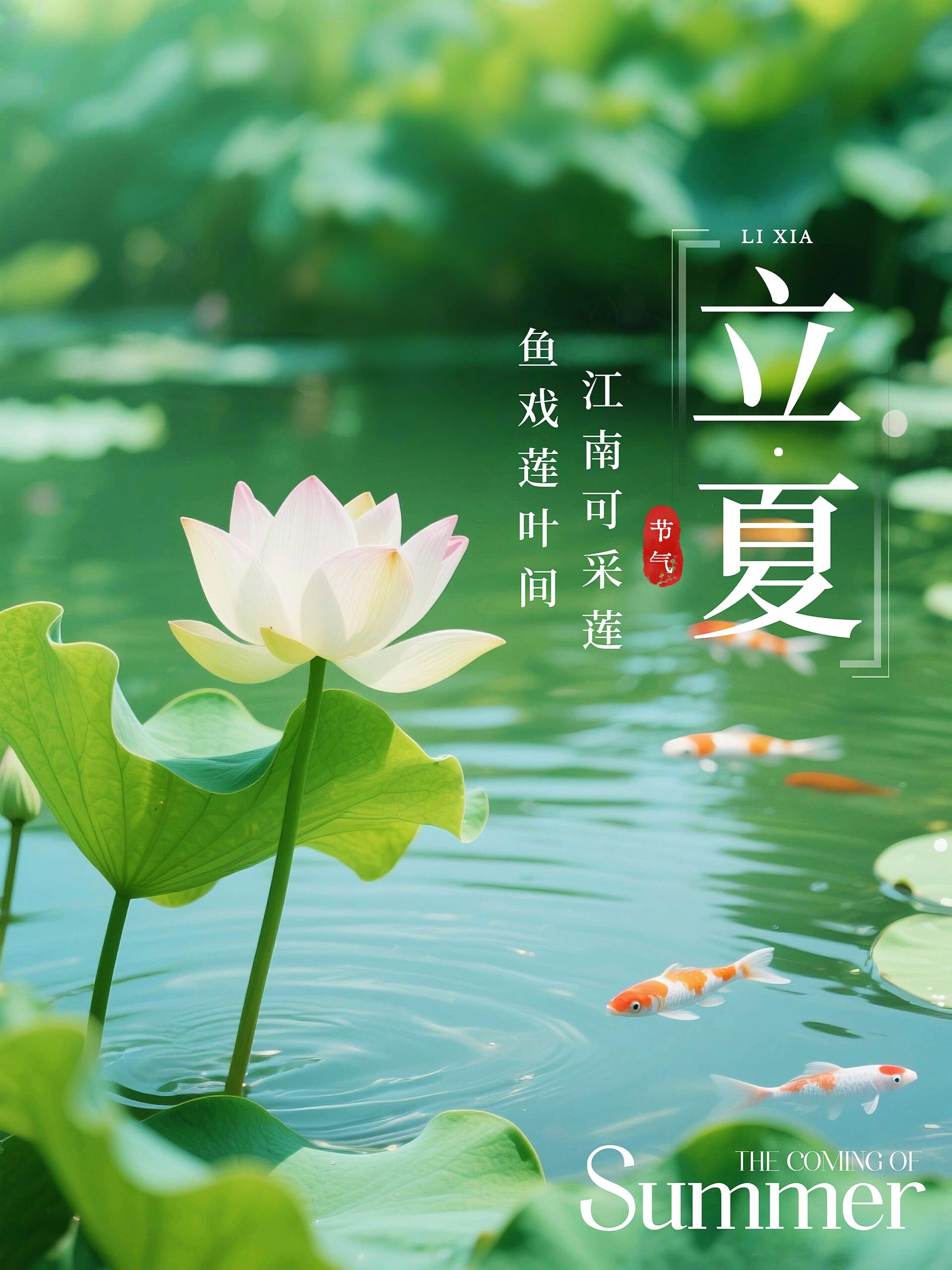 立夏习俗|立夏文案|