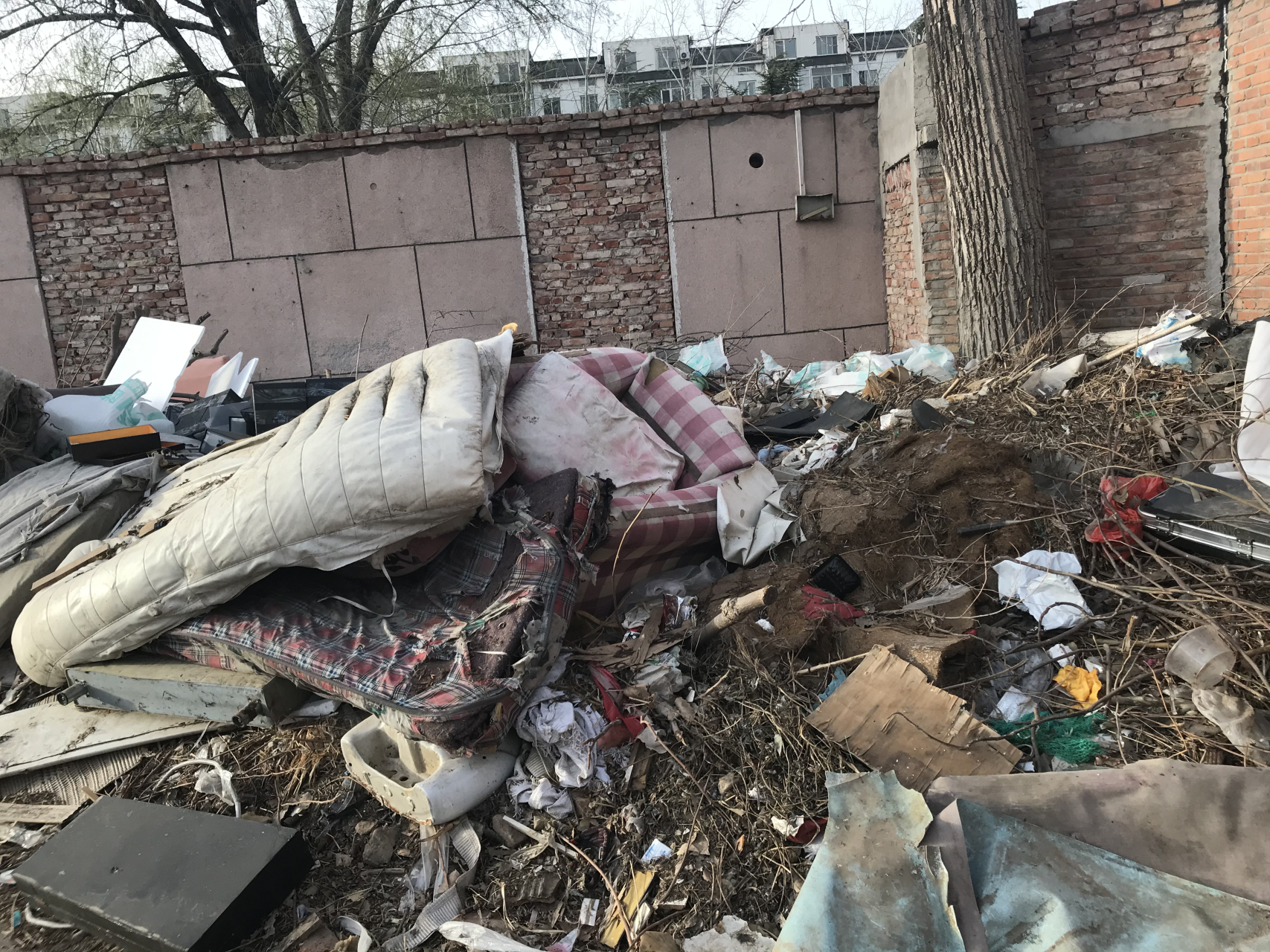 今天来到十几年前的老部队(66176部队),已是人去楼空.