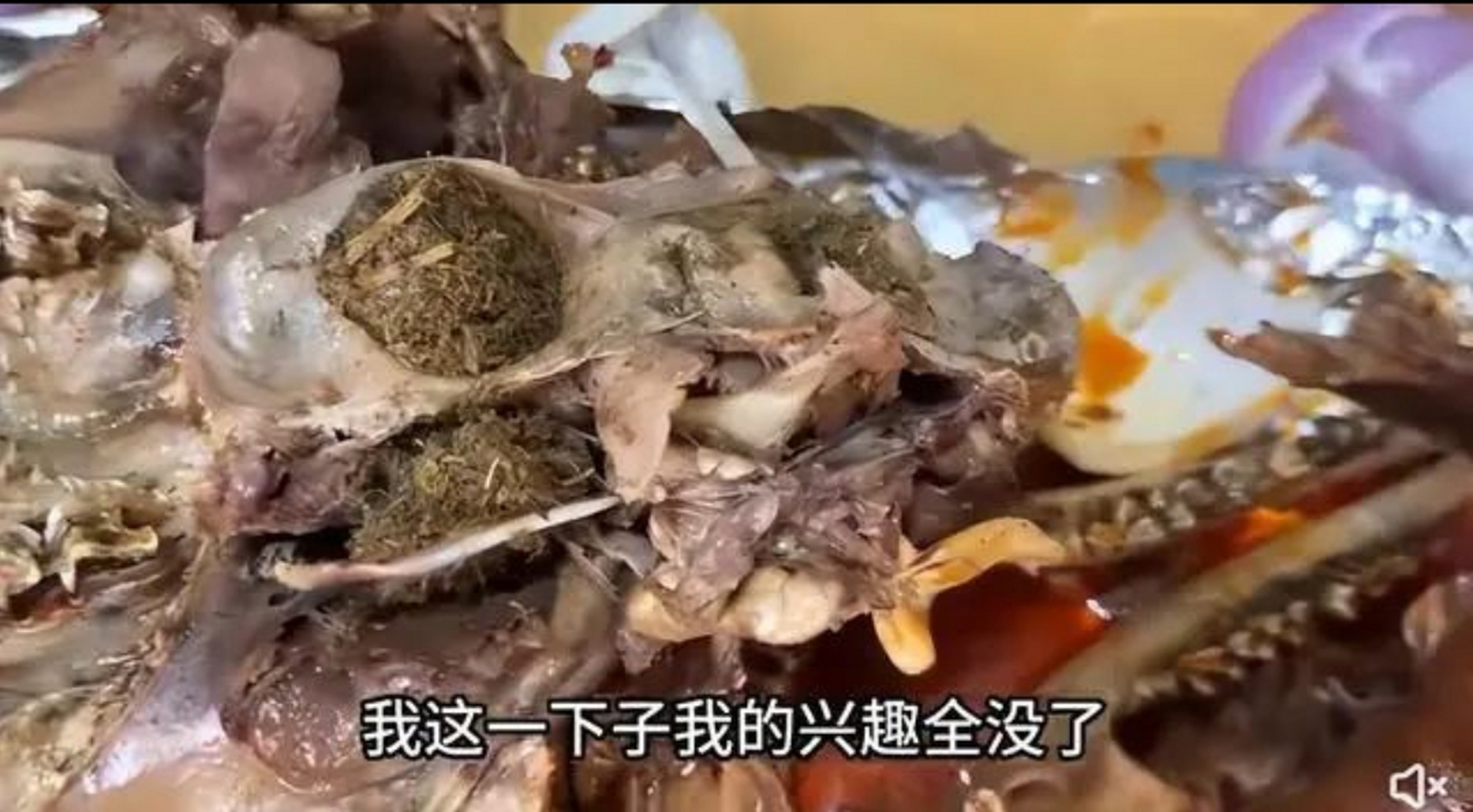 网红"贪吃瑜"吃羊头居然吃出来毛发和未消化 的青草!  真是不可思议!