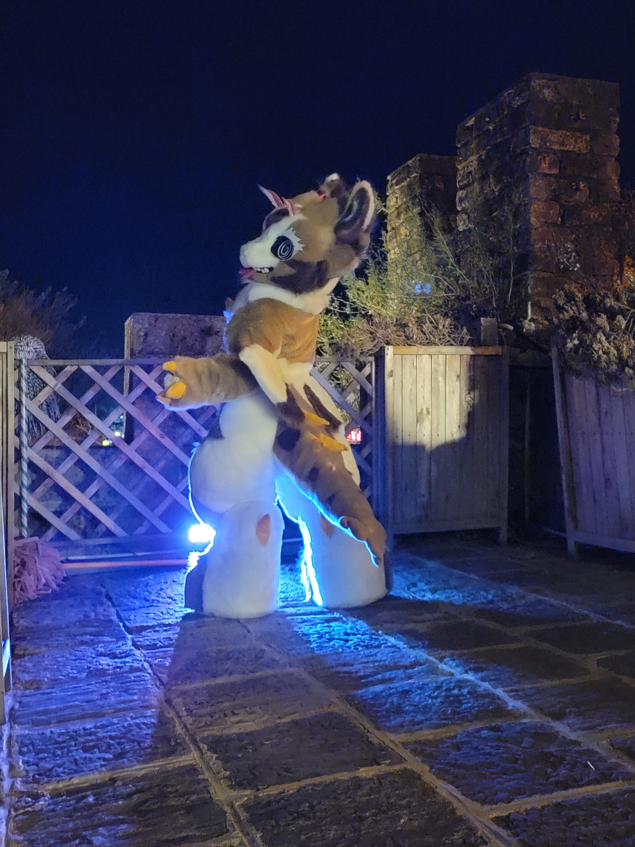 兽装大佬 寻找兴趣相同的朋友