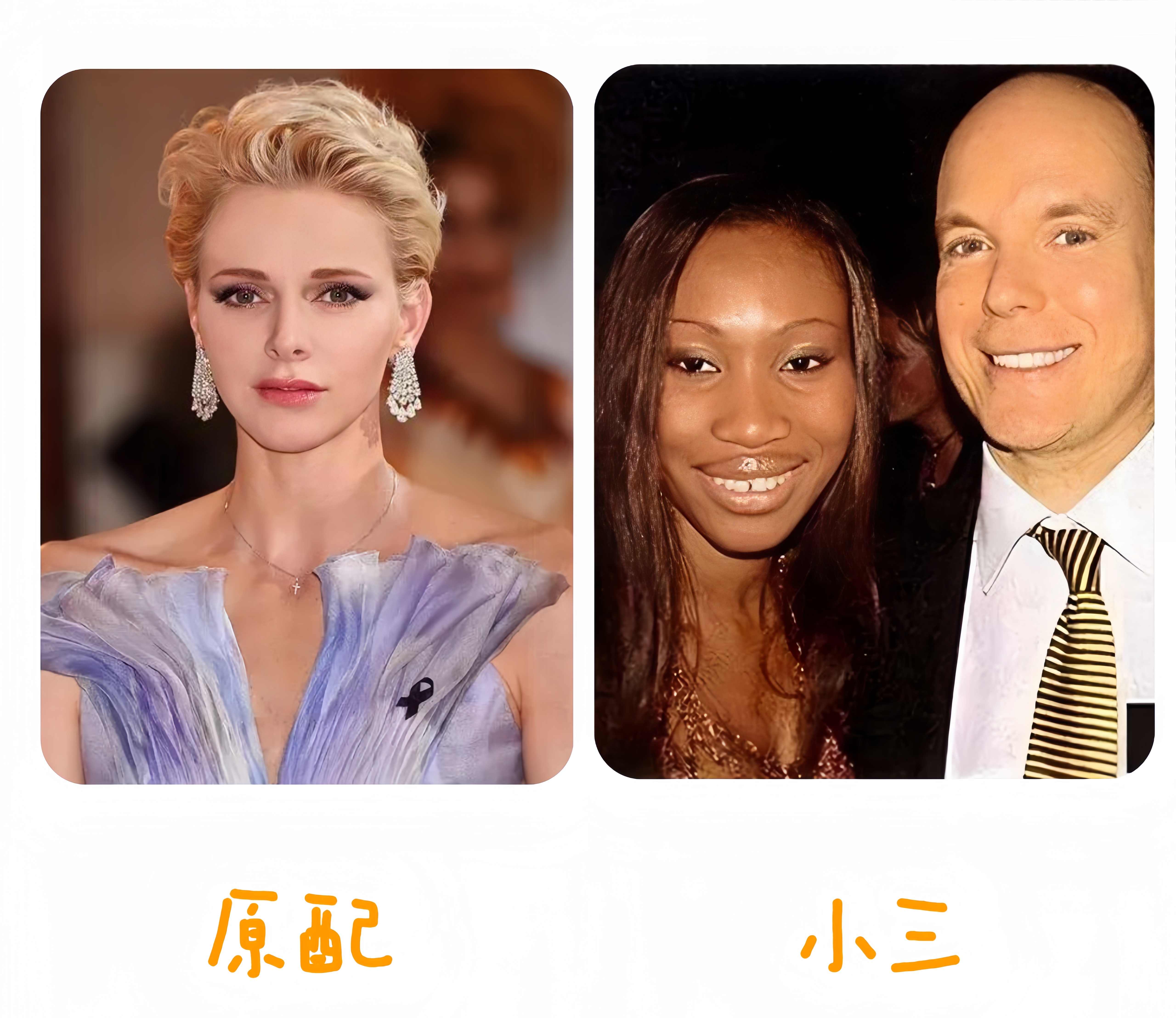 你们谁明白摩纳哥亲王为什么出轨……,真实事件,他还和小三生了孩子