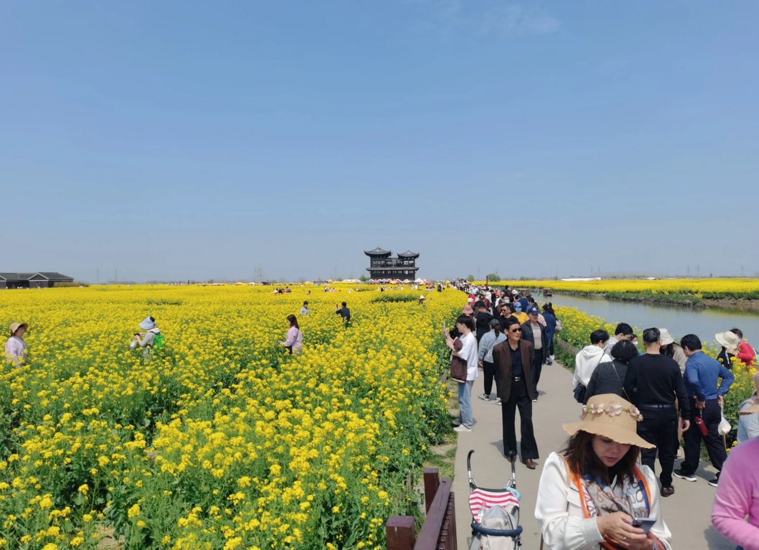 看到这样一个视频,感慨颇多!