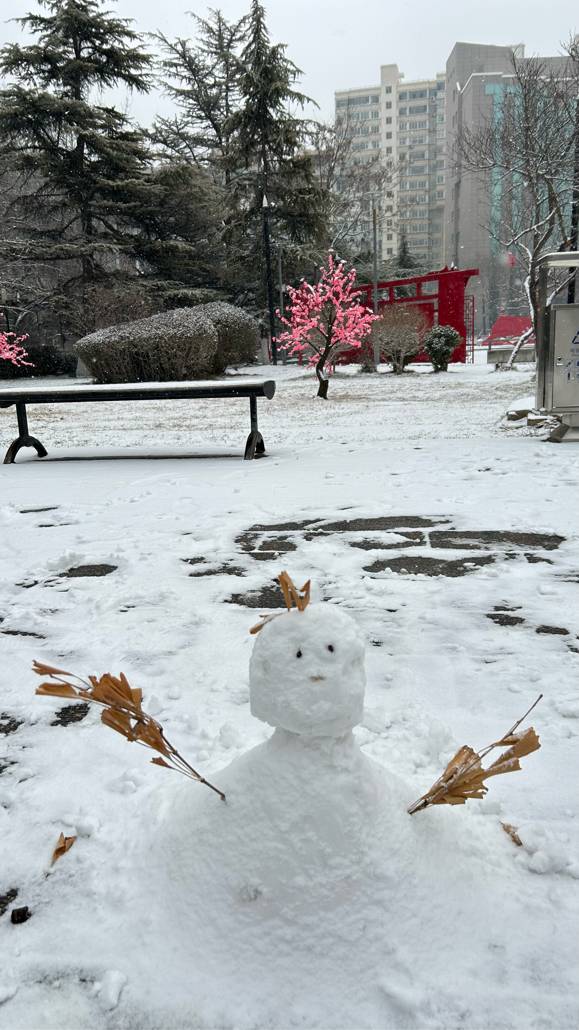 堆雪人图片实景图片