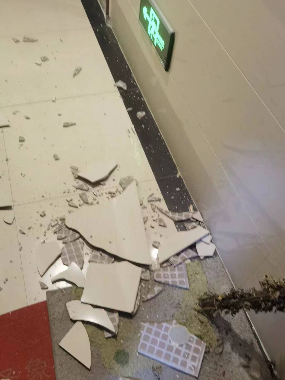 住了才几年的小区,楼道里墙上的瓷砖三天两头的就这么突然就掉下来,太