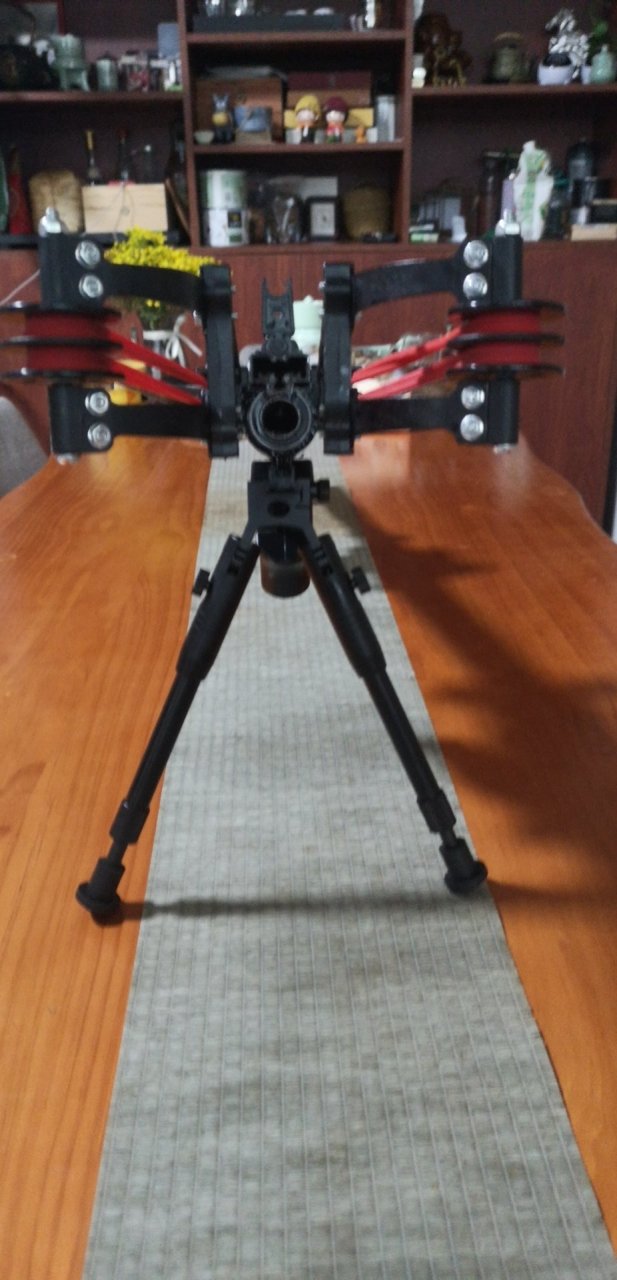 龙胆9代x和龙胆10代x区别