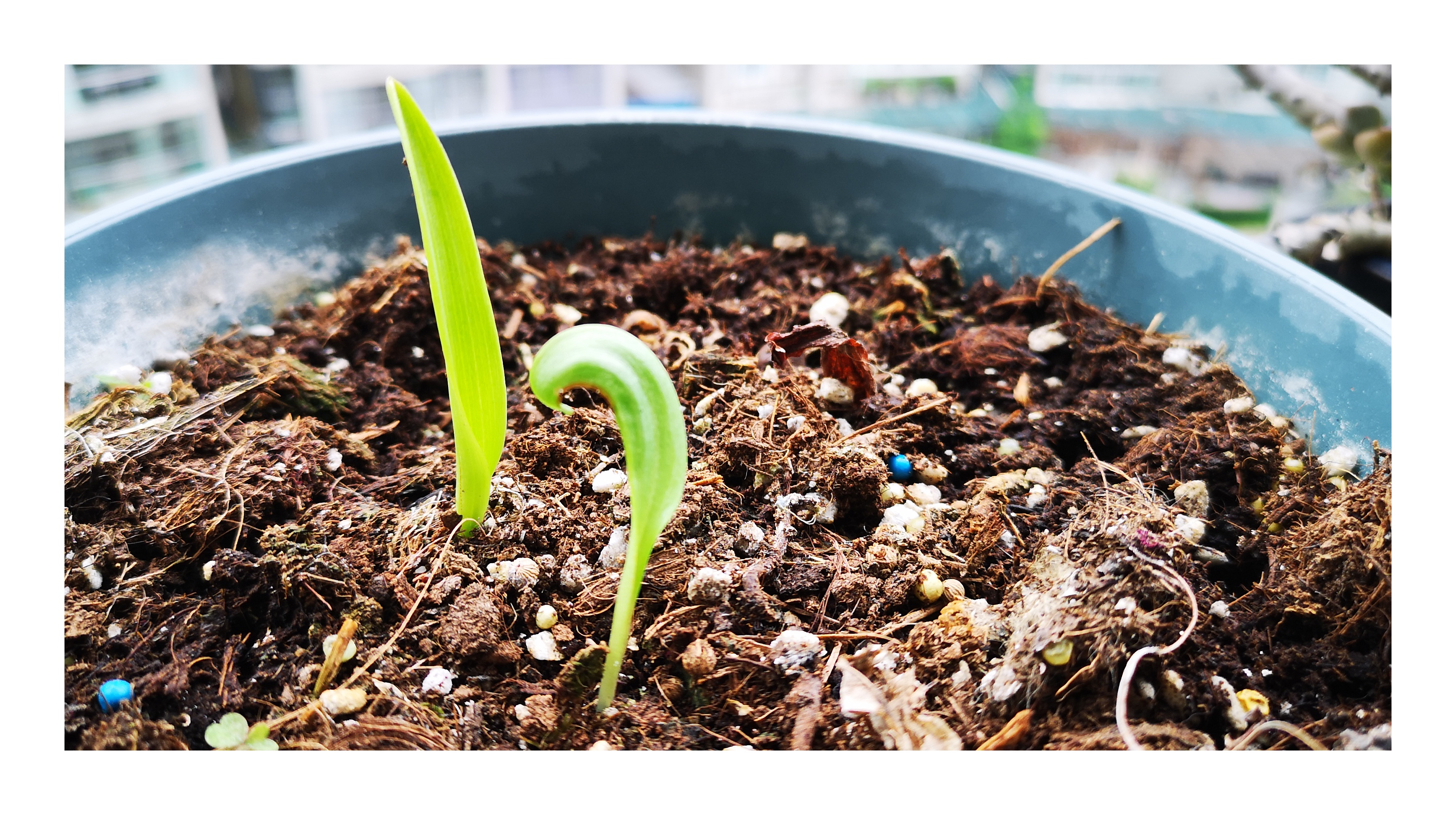 一年一度教师节,感恩所有的遇见,授我以知识,点我
