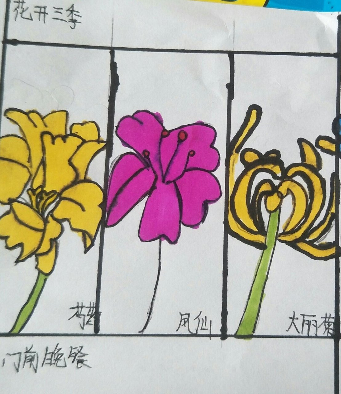 花开三季