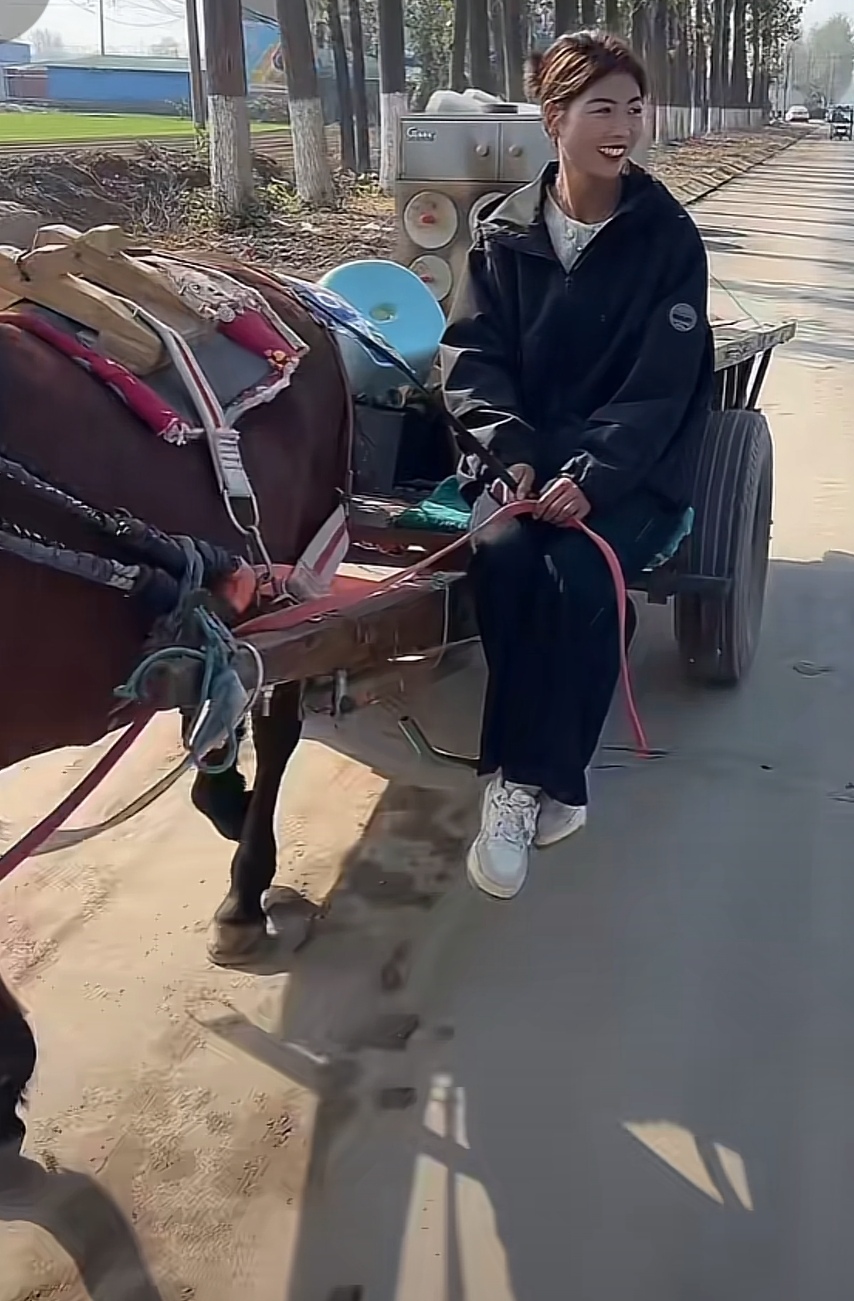 看图说话,话说村姑家里的马车,马拉车,一百公里一梱草,不用维修