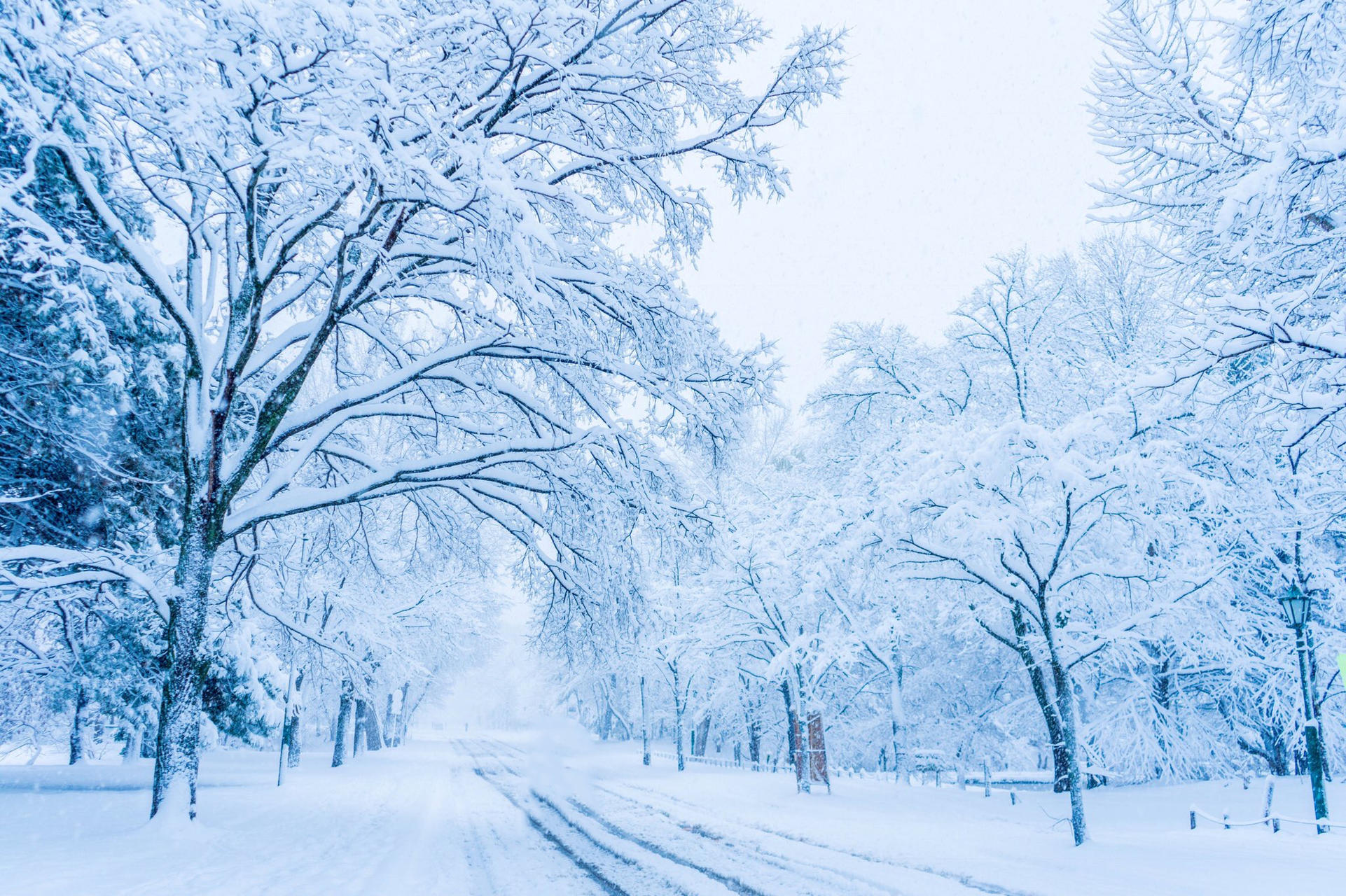 皑皑白雪天地为霜图片