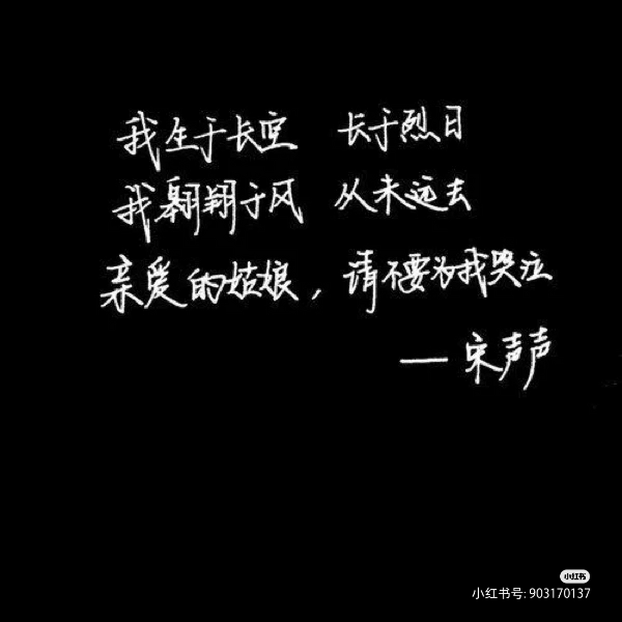 声声不息 生生不息 宋声声生日快乐 我们永远守护你[开心]