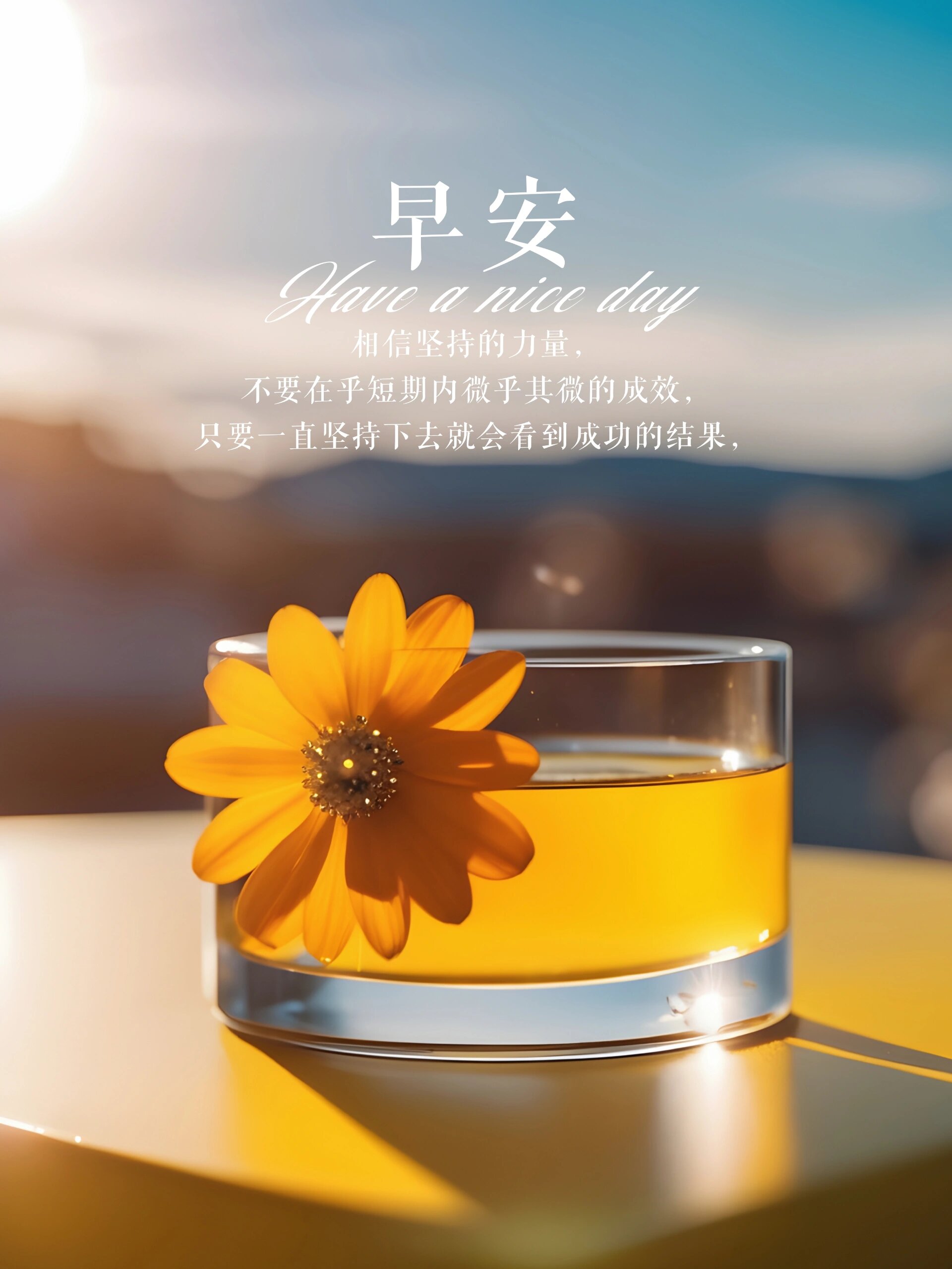 早安金句:阳光之晨,向阳生长 1