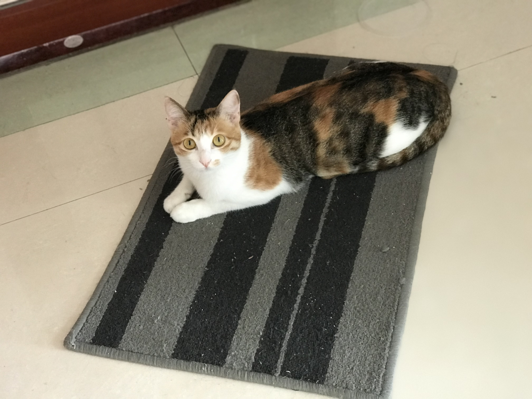 各种妖娆的躺姿,我们可是三花美女呀 论这姿势还有谁!