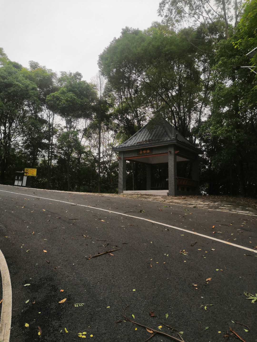 五一云游记# 东莞黄江～～宝山森林公园一日游