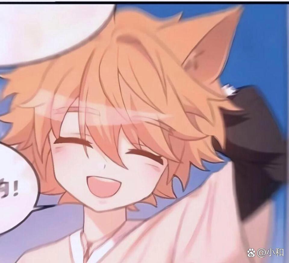 猫小天和猫小九的cp