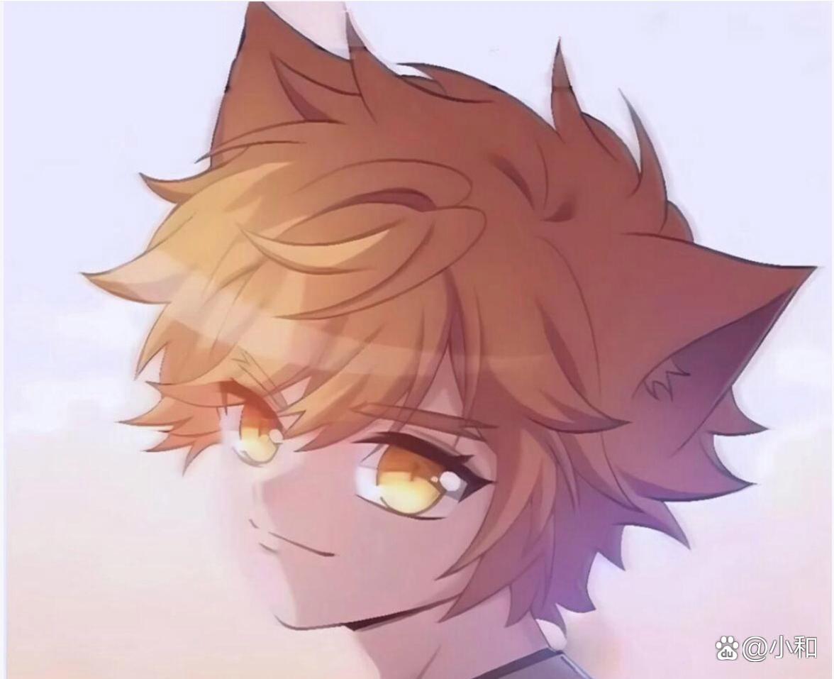 猫小天和猫小九的cp