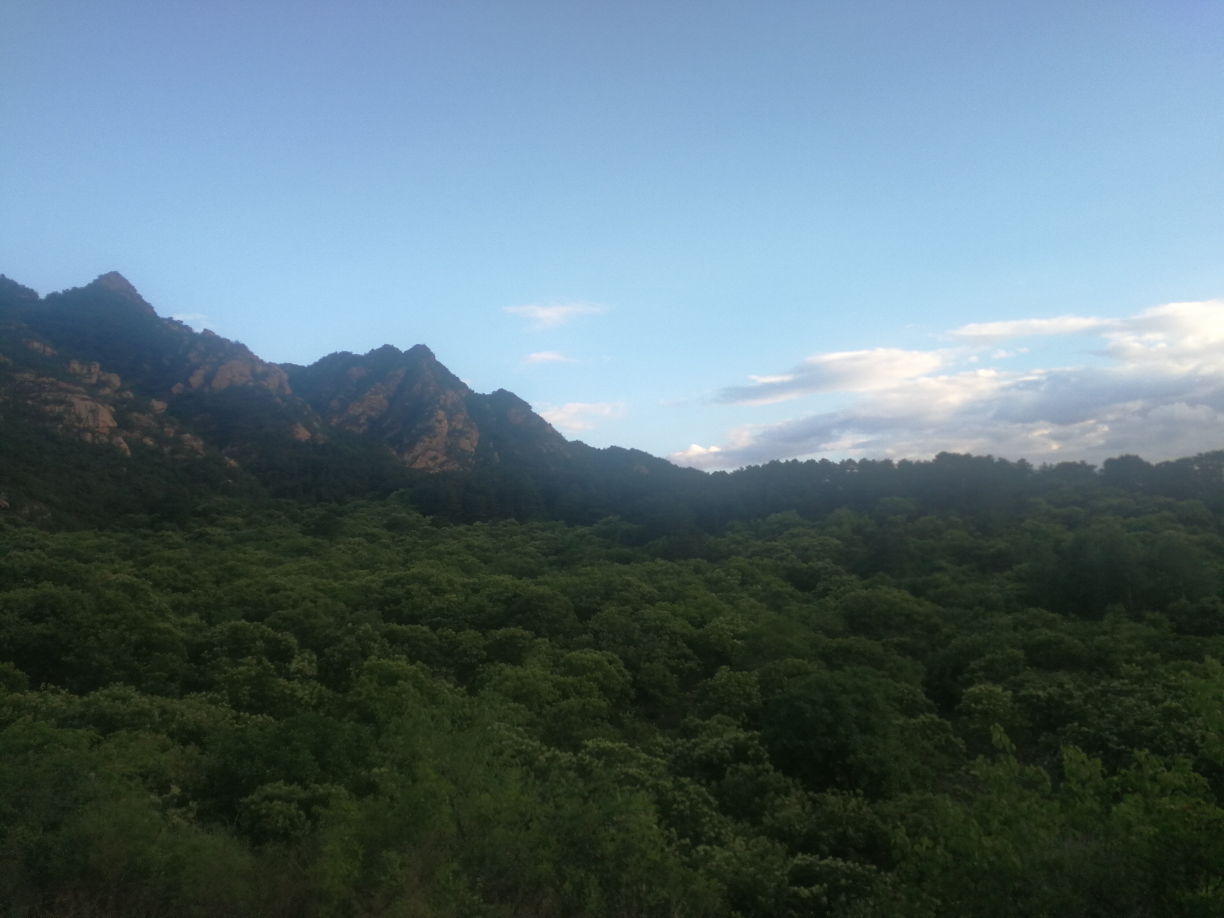 千门万户艾蒲日,一山一叶一天路.