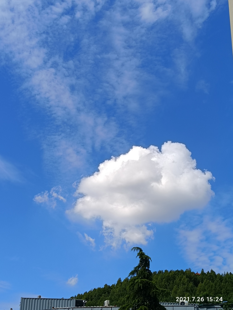 好期待基地电影上映啊,有生之年系列