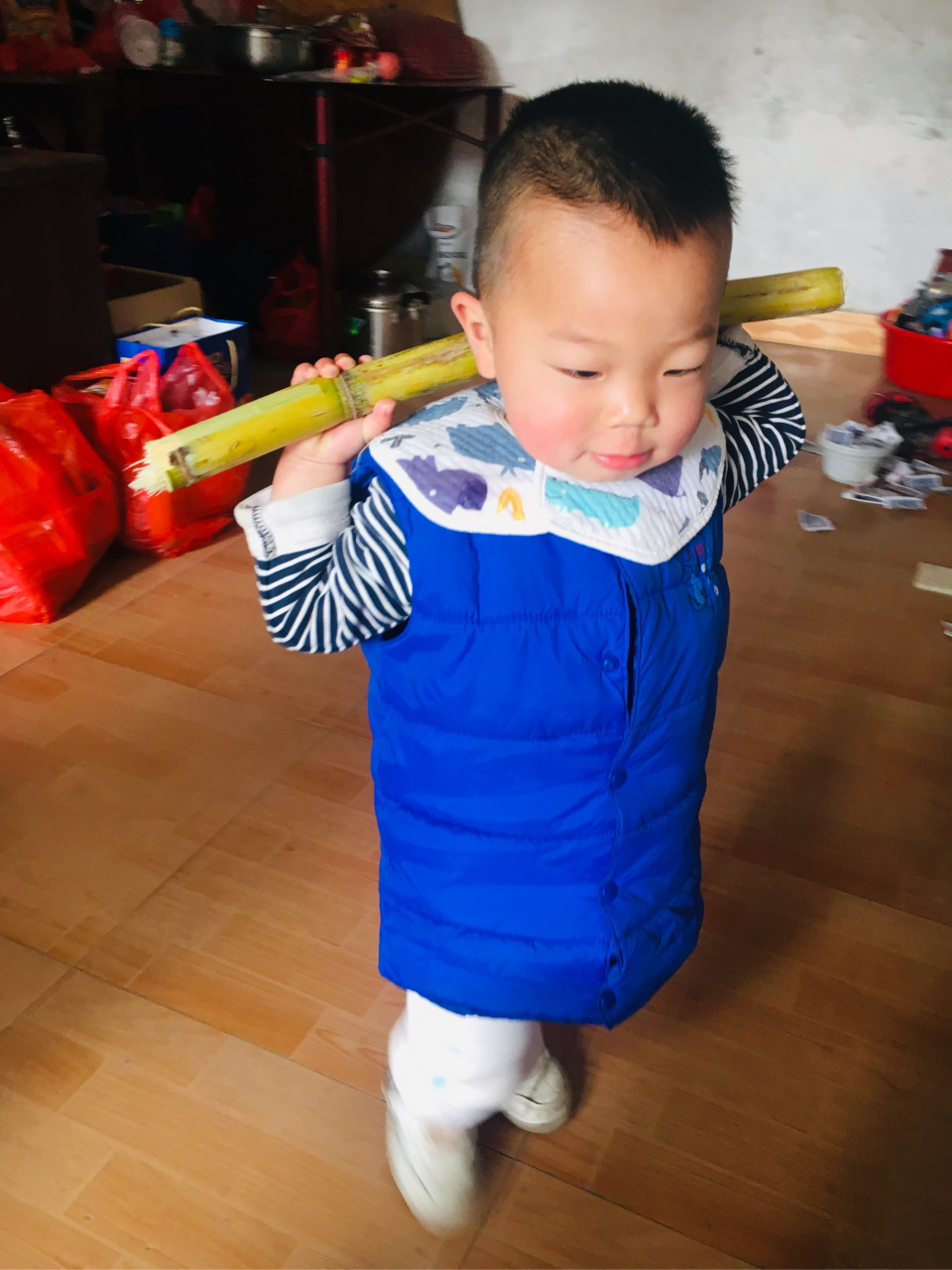 王梓恒小明星