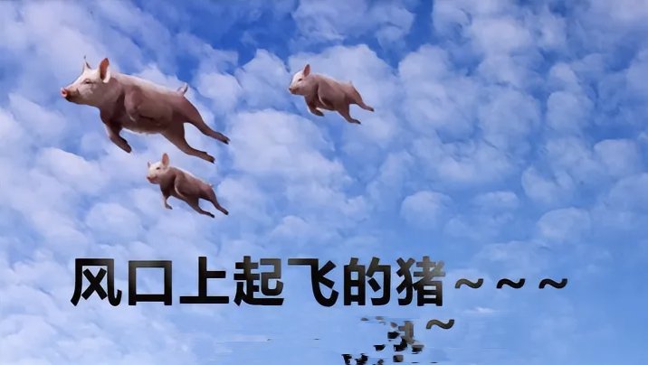 就像那句"站在风口,猪也能飞",深刻地道出了选择的关键意义
