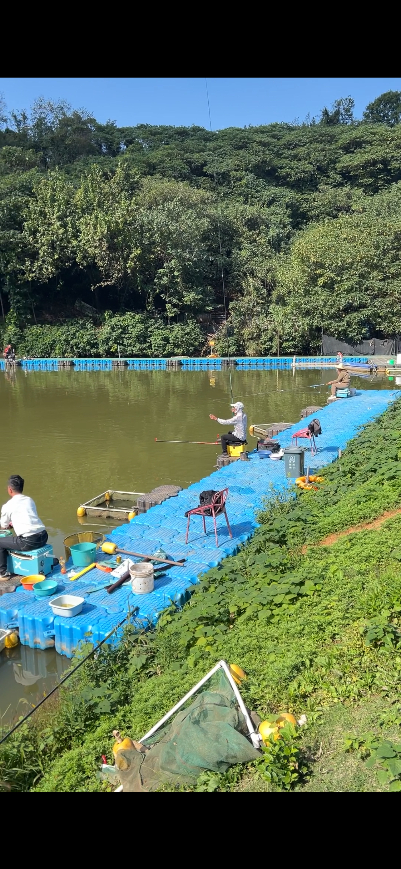 绿沙岛钓鱼图片