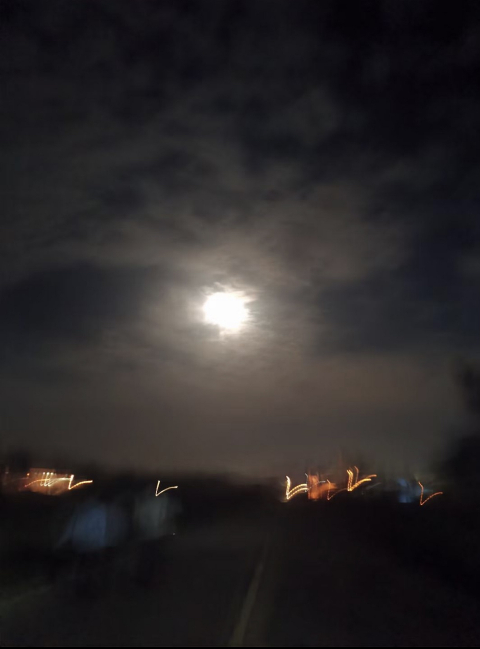 月皎疑非夜,林疏似更秋