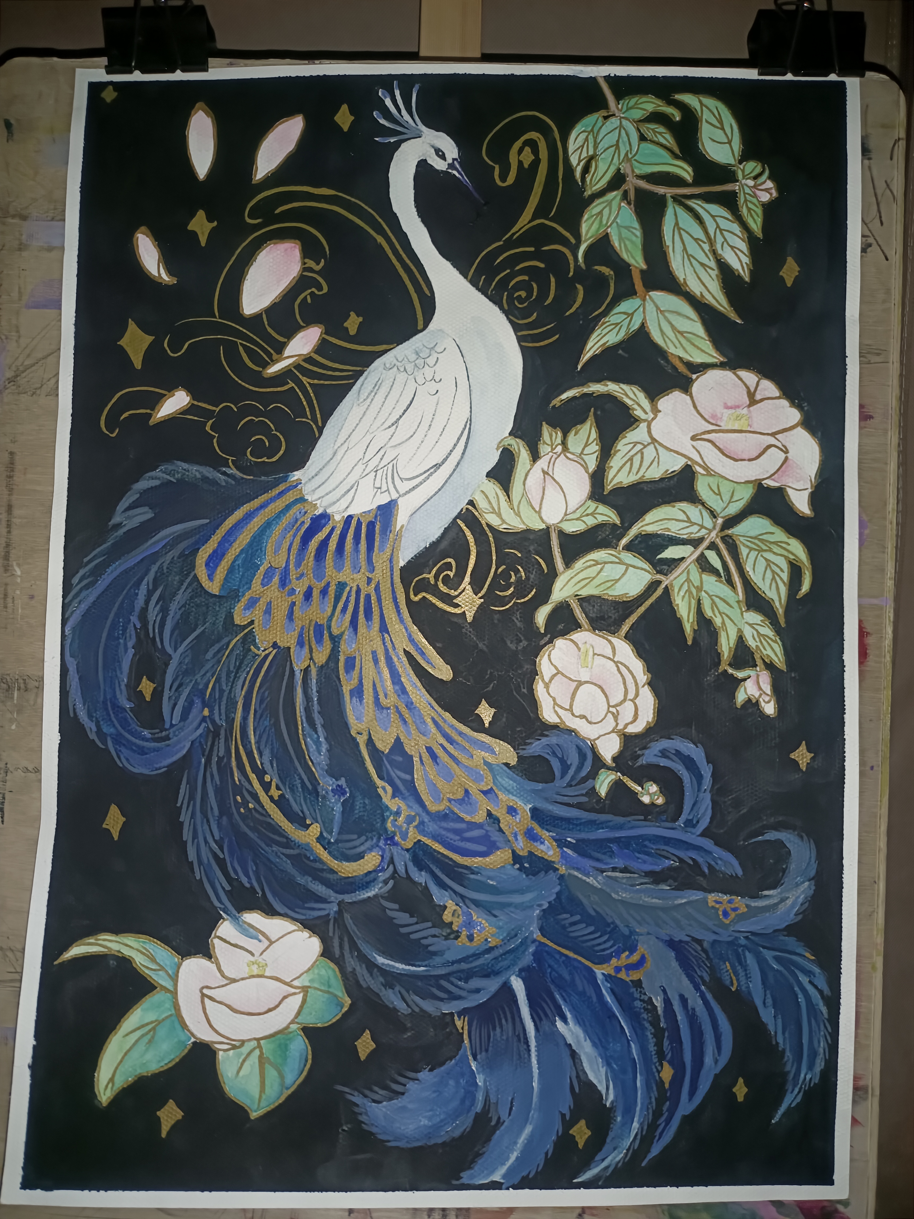 遇见蓝白孔雀的梦幻世界