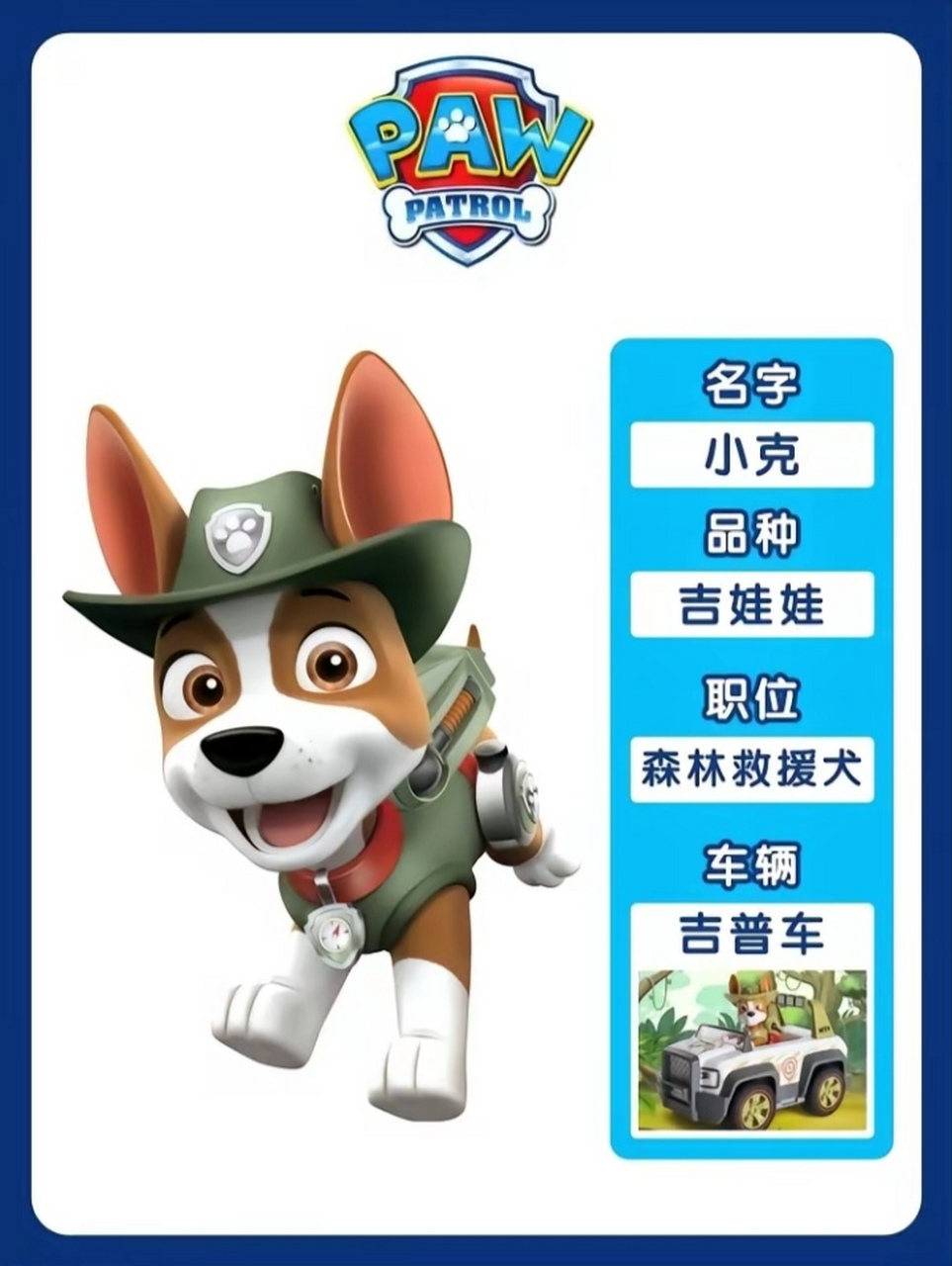 汪汪队又立大功了!第九季更是惊喜连连,让我热血沸腾