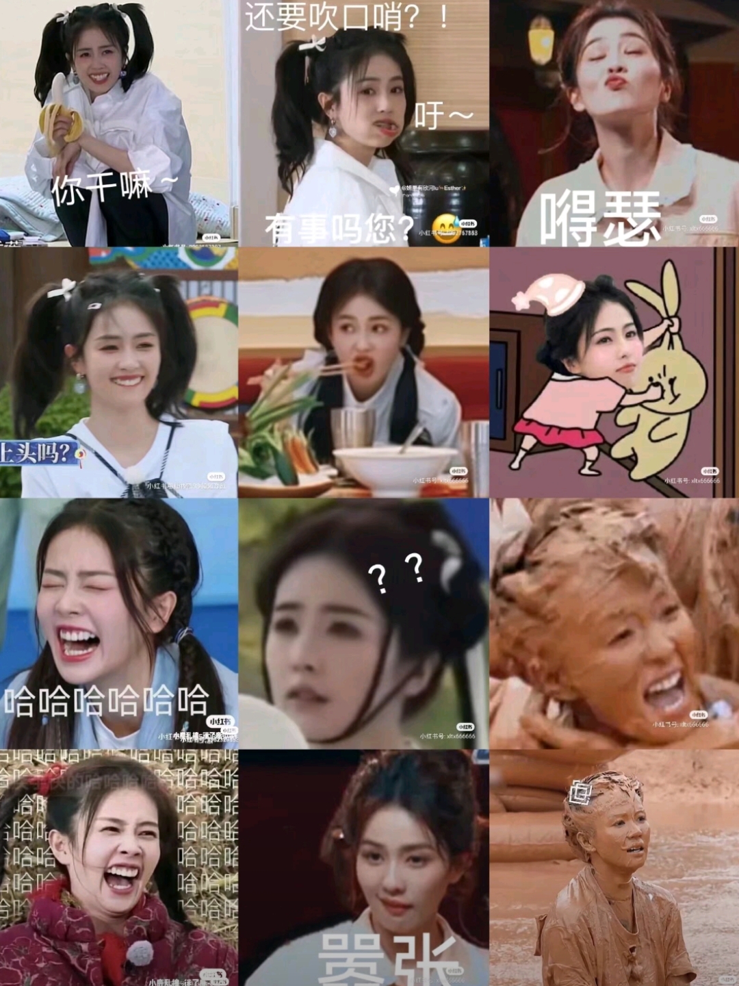 白鹿表情包挑战