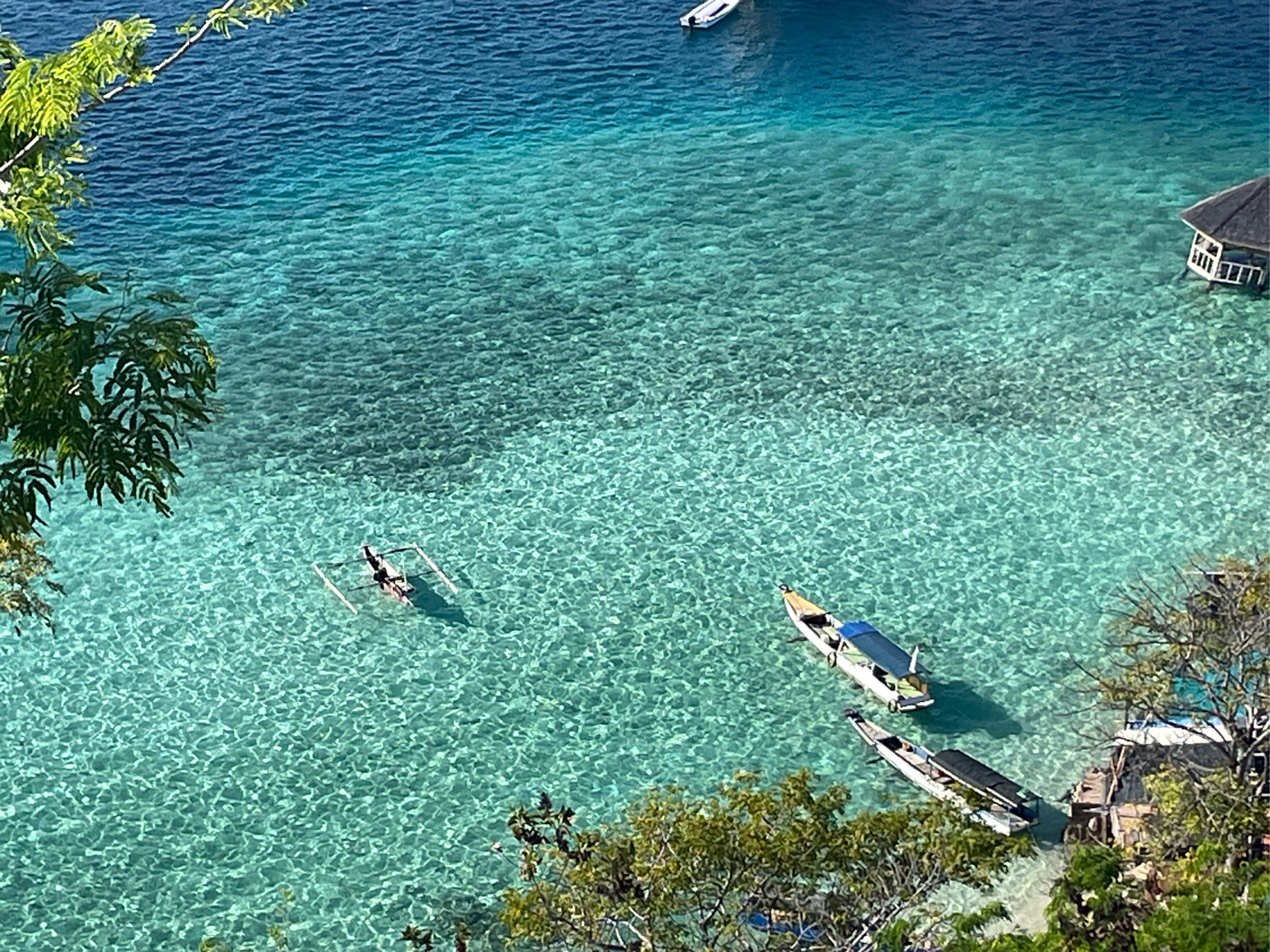 南半球的海,三五米深的海水清澈见底,"水至清则无鱼"在这里彻底失效!
